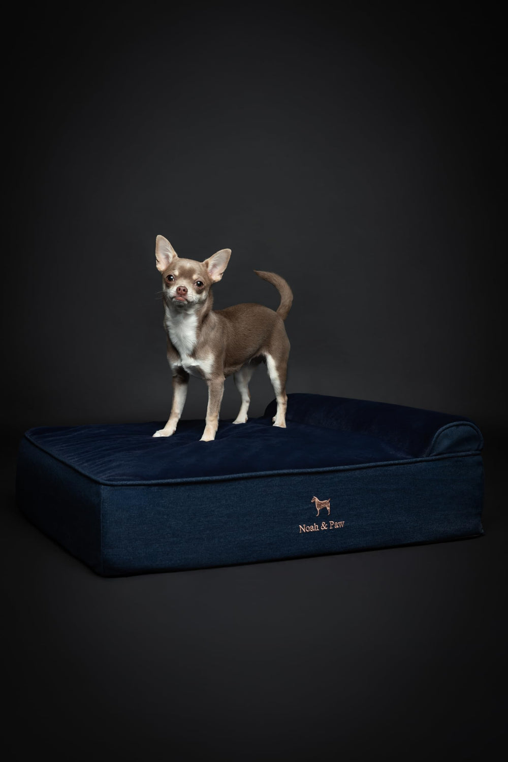 NOAH & PAW Denim durable zipper and dual-cover design.