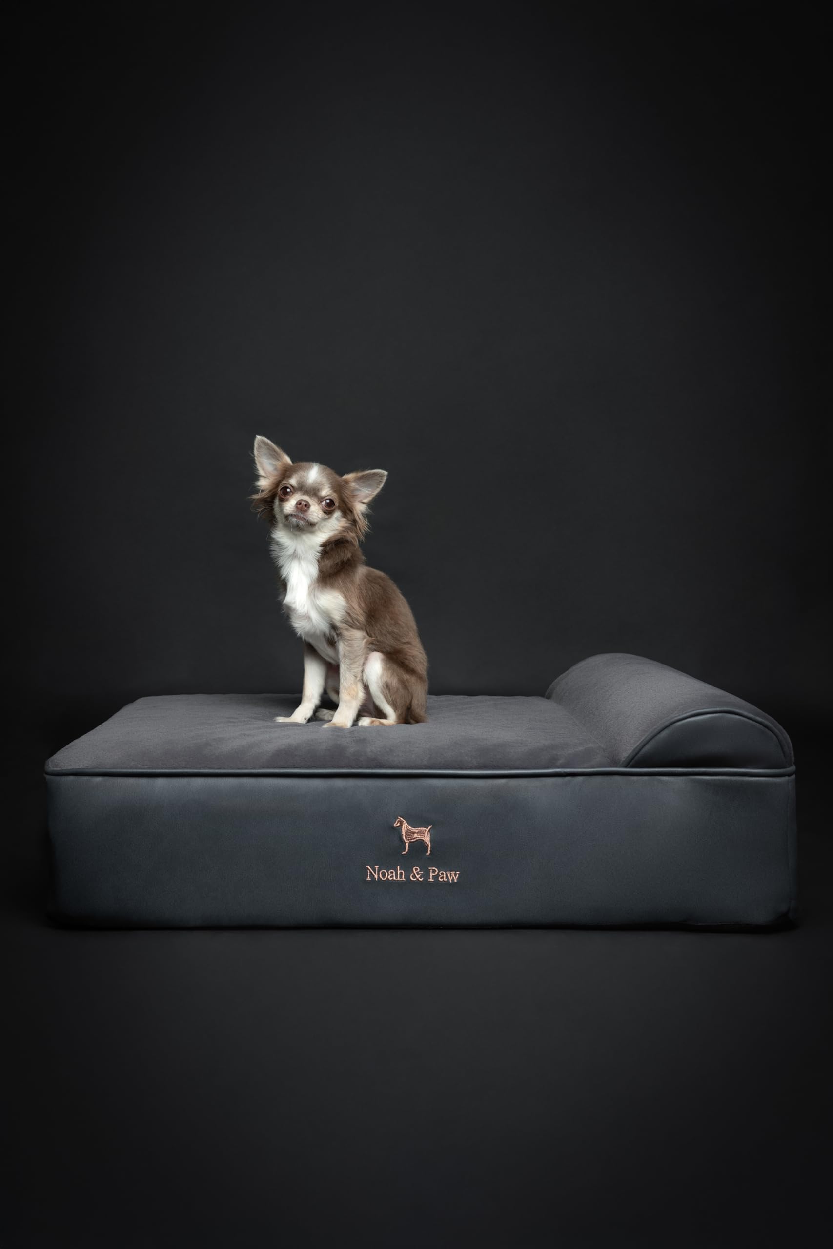 NOAH & PAW 28x23x7-5 inch dimensions fit medium to large dogs