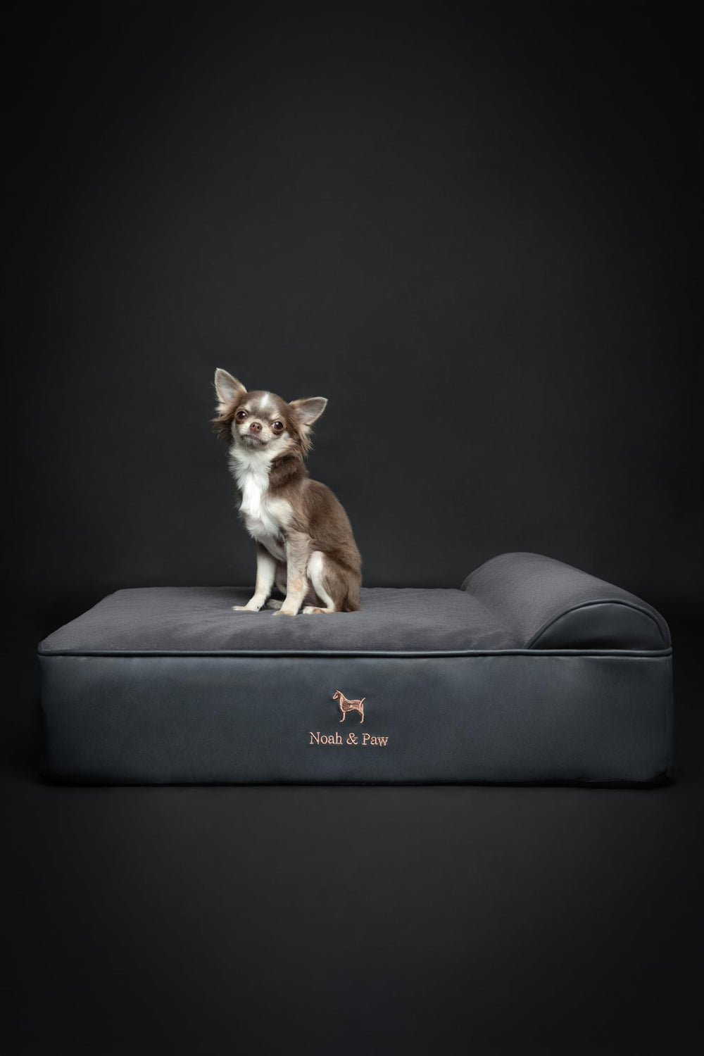 NOAH & PAW 28x23x7-5 inch dimensions fit medium to large dogs