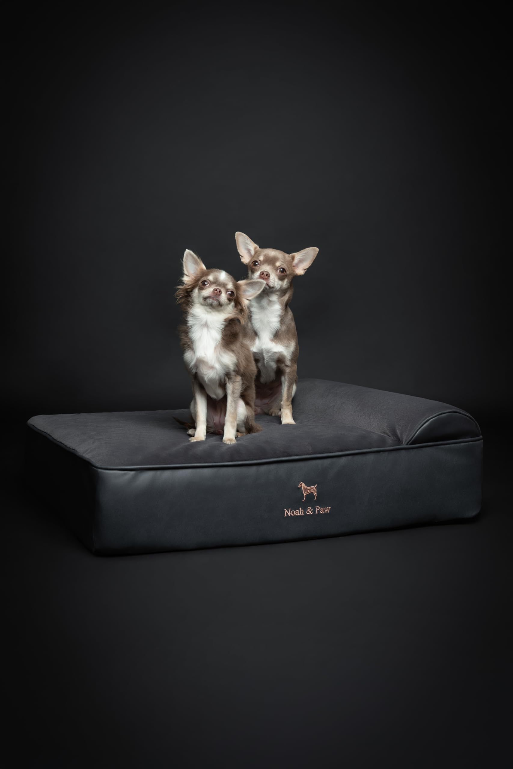 NOAH & PAW cooling gel infused foam for temperature regulation and comfort