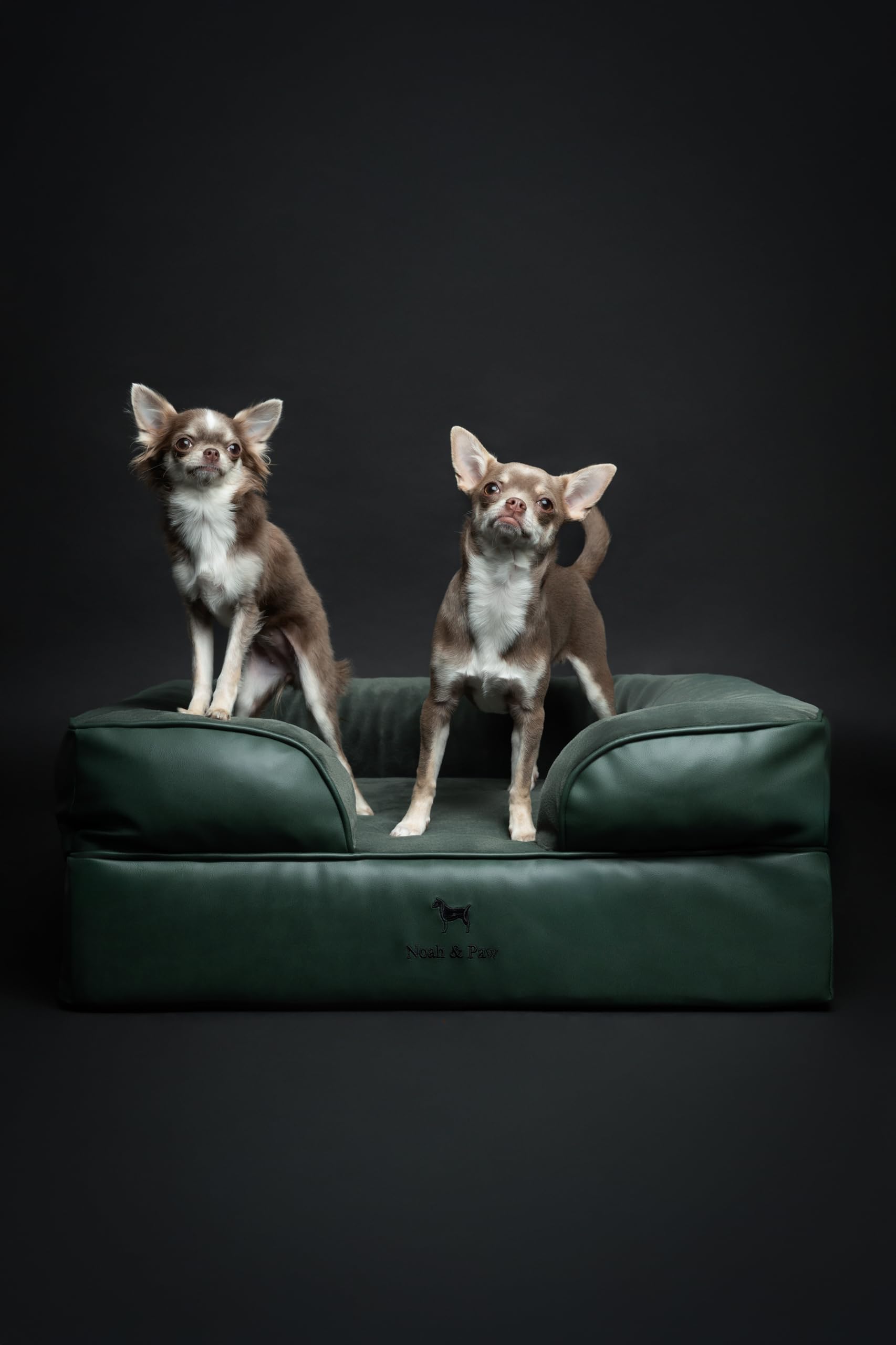 NOAH & PAW dog bed cooling-gel-infused foam helps regulate temperature during naps.
