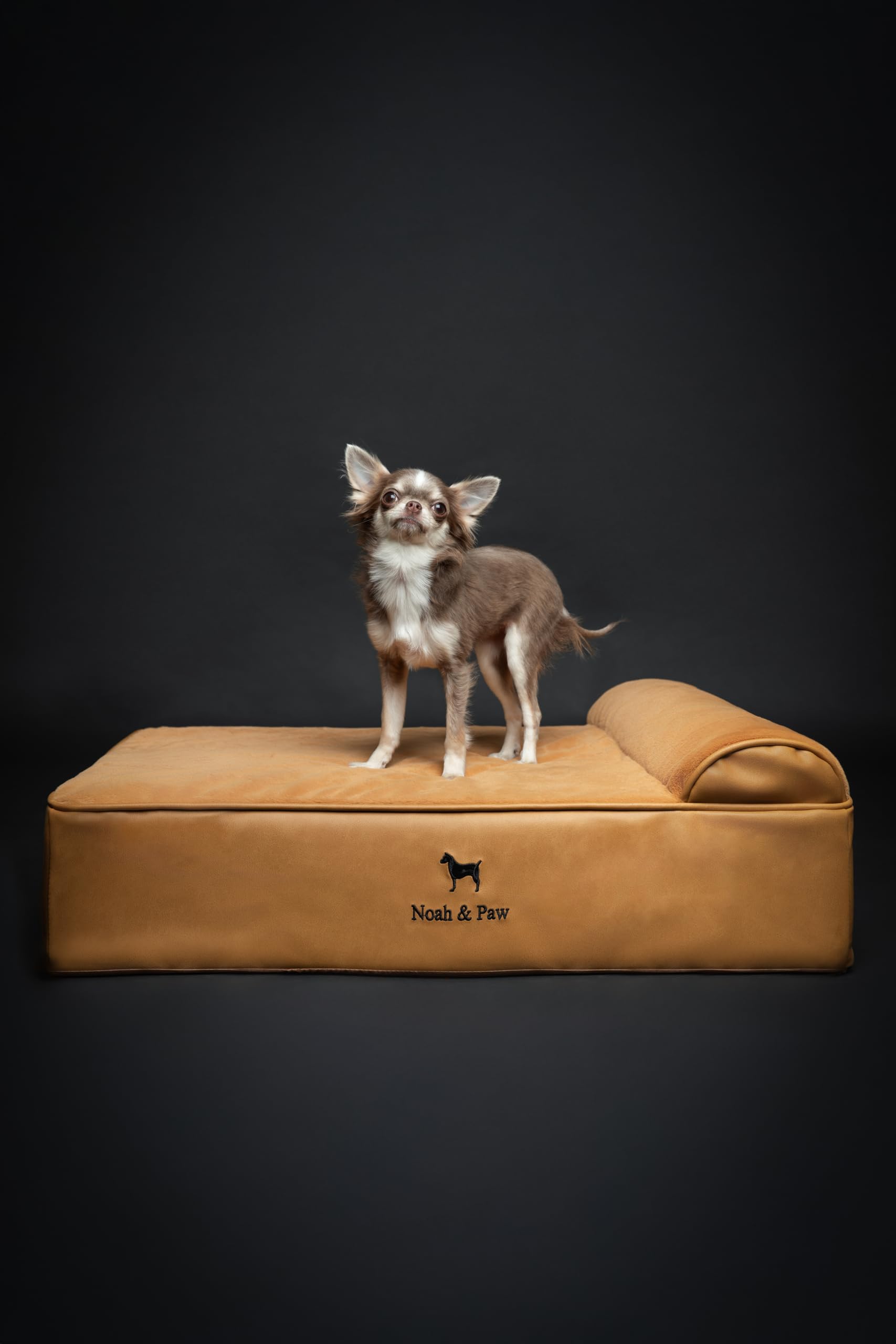 NOAH & PAW dog bed 28x23 inch size fits many medium to large dogs