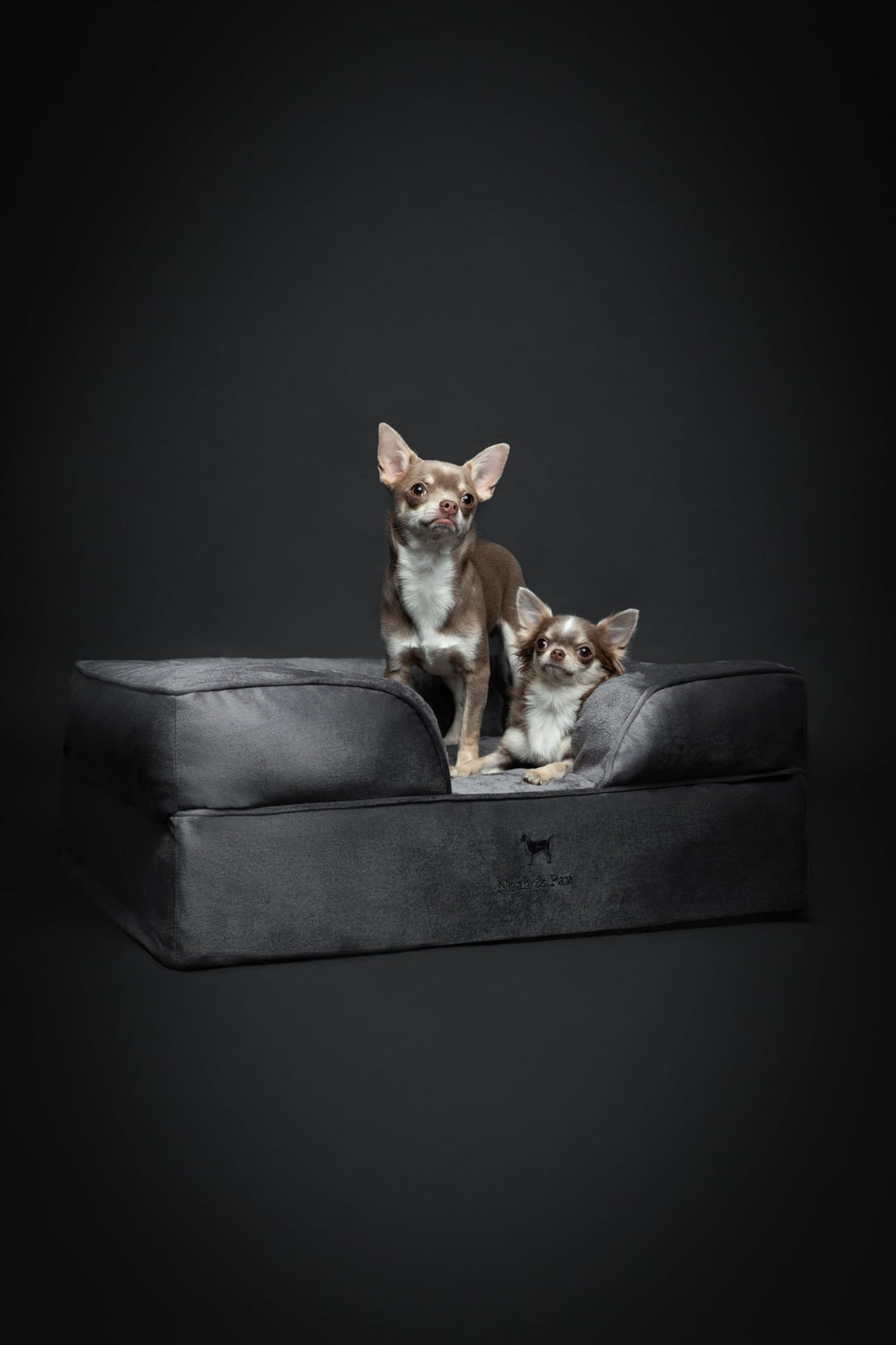 NOAH & PAW bed dimensions 28x23x11 clearly shown