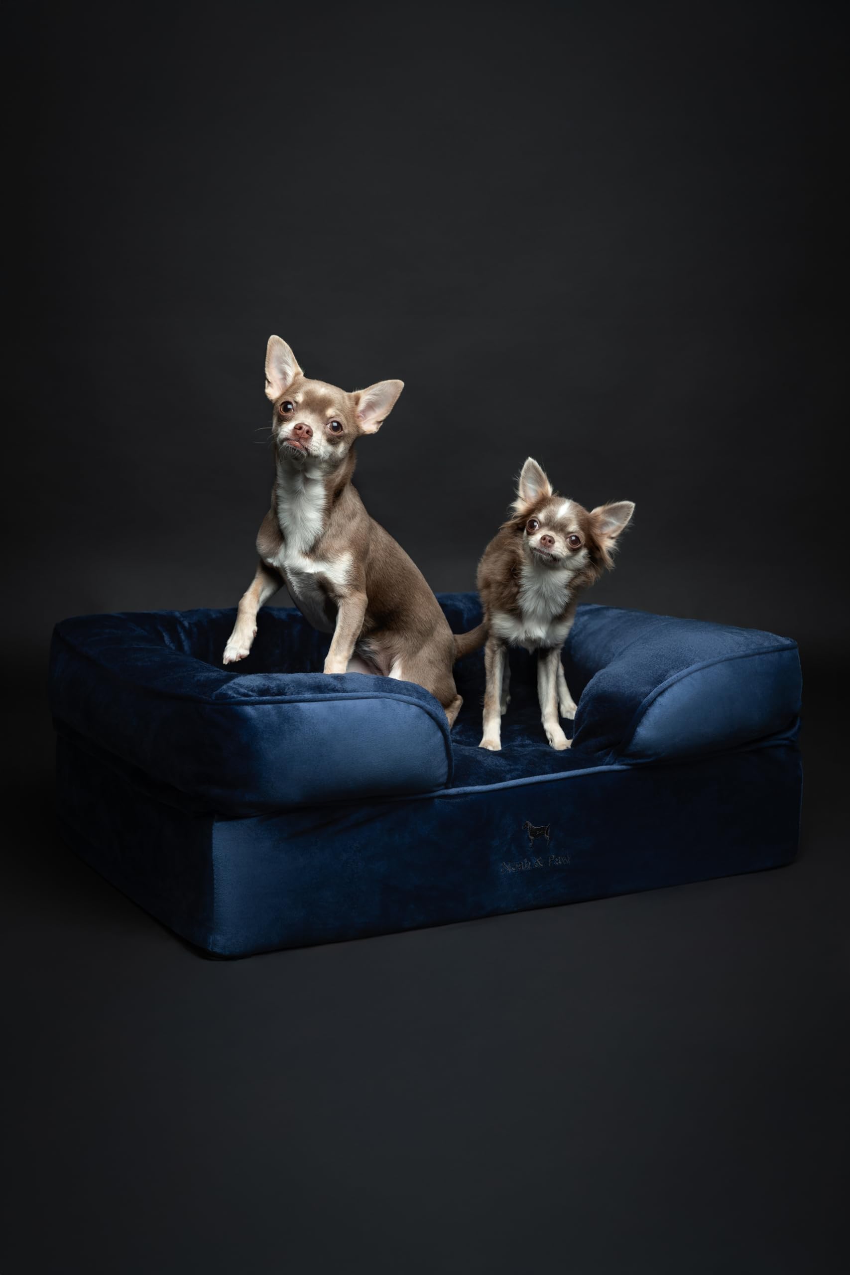 NOAH & PAW bed dimensions 28x23x11 inches displayed