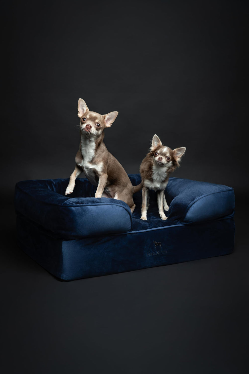 NOAH & PAW bed dimensions 28x23x11 inches displayed