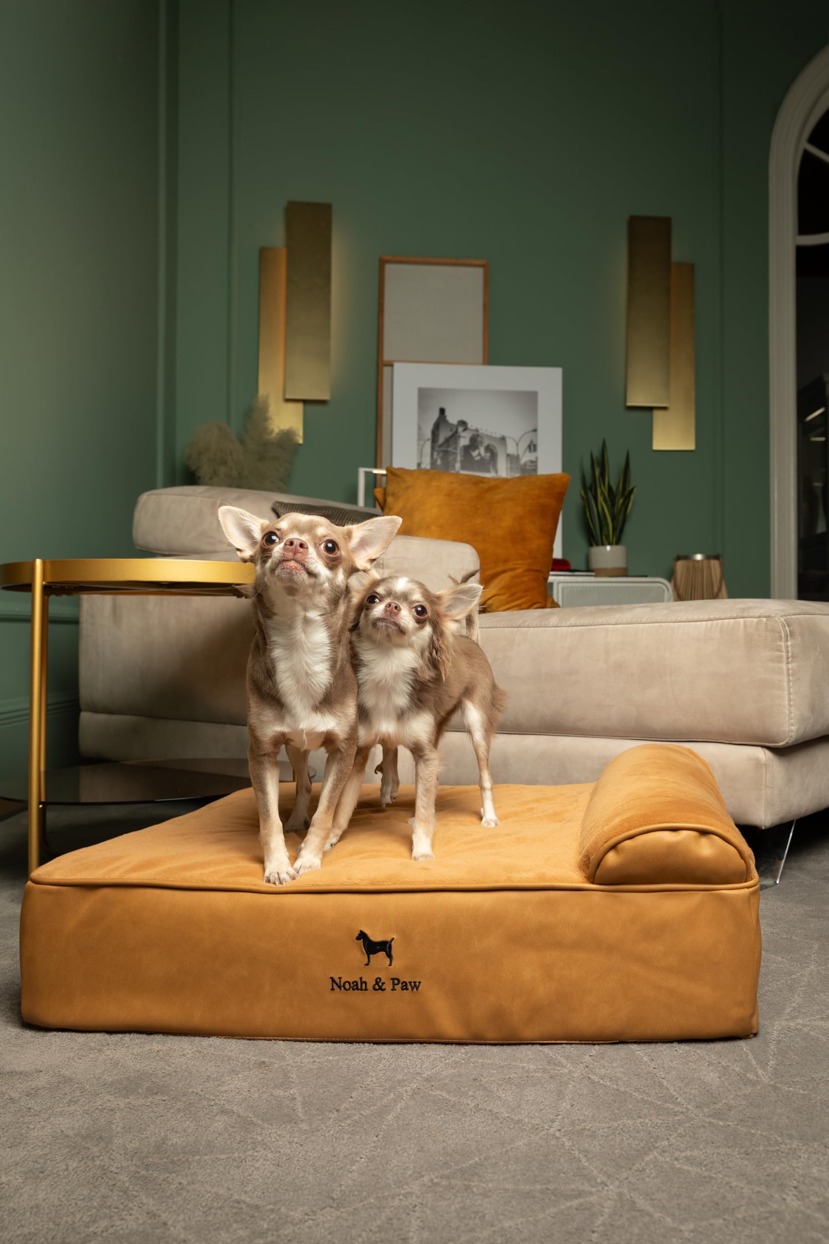 NOAH & PAW dog bed foam layers illustrate layered support for joints