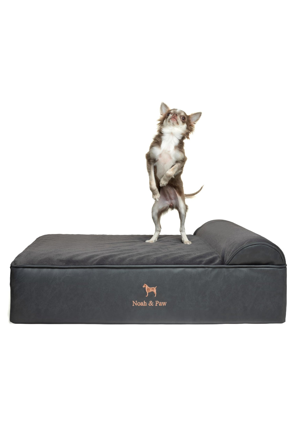 NOAH & PAW dog bed foam structure closeup offers supportive orthopedic base