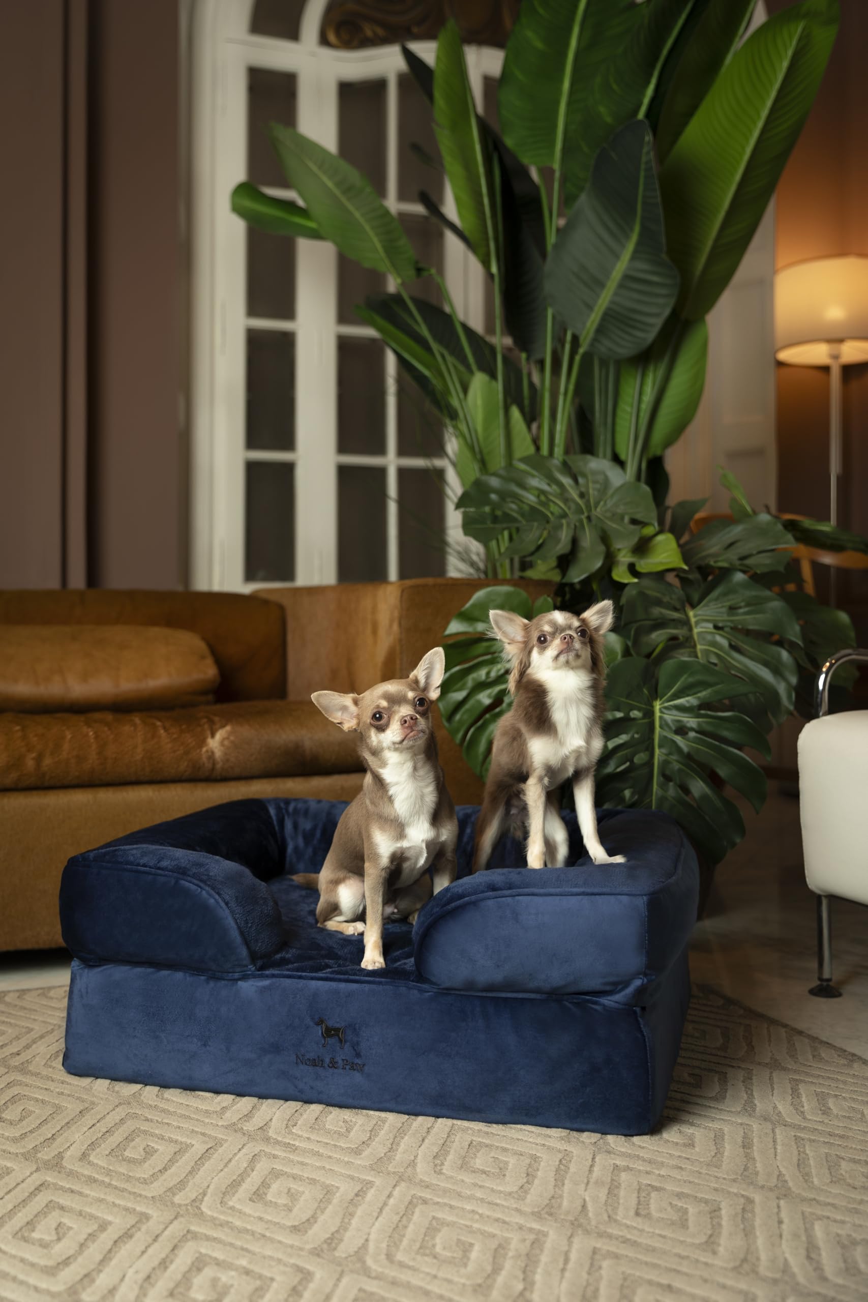 NOAH & PAW dog bed inner cover shown removable for washing