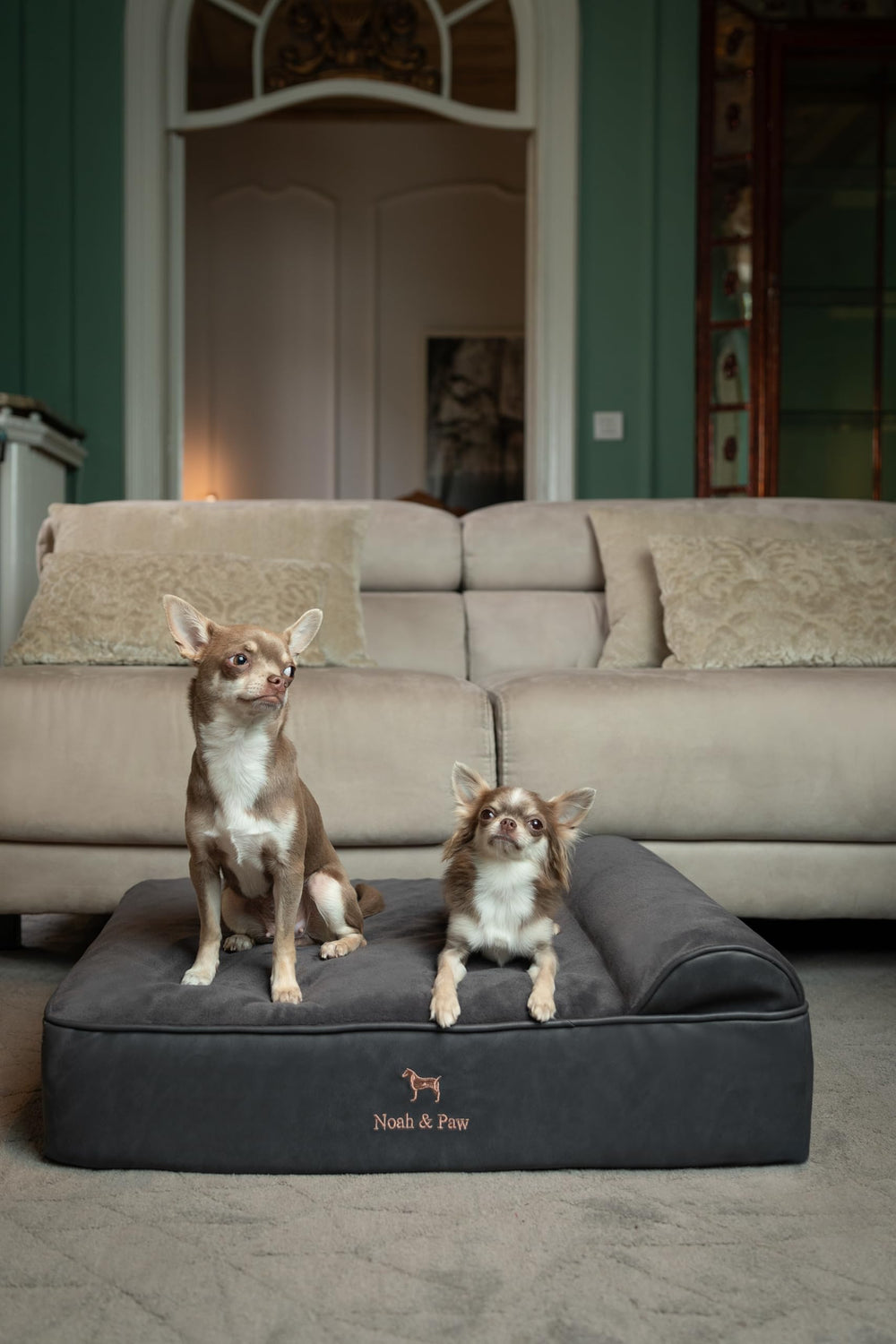 NOAH & PAW machine-washable cover simplifies care and upkeep