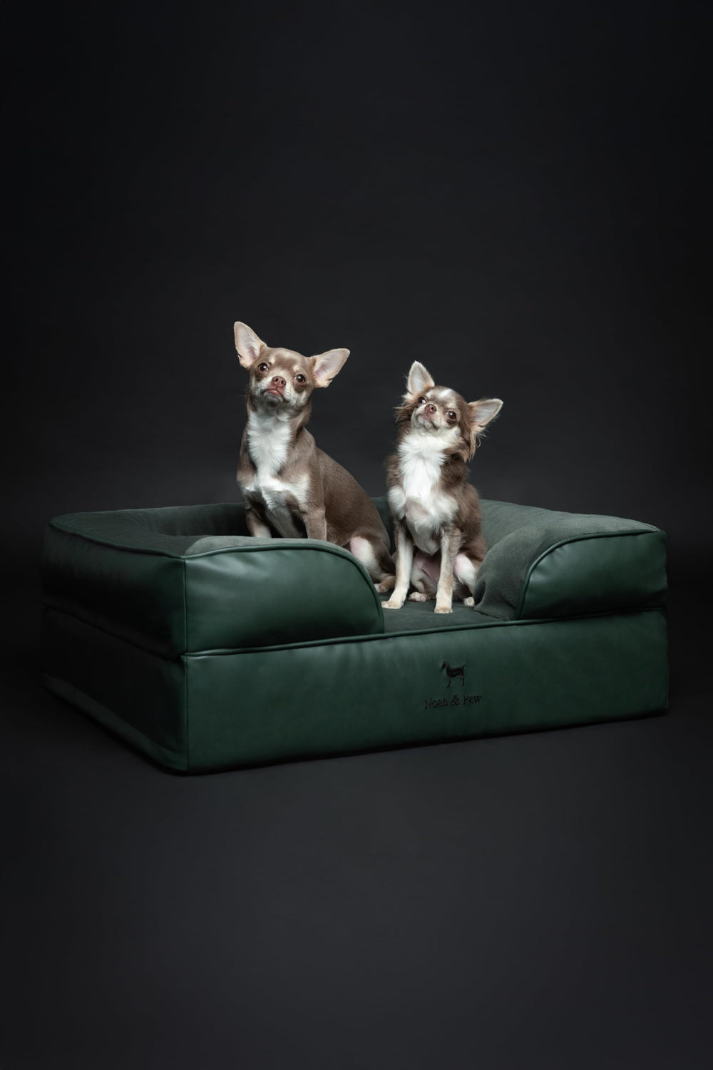 NOAH & PAW dog bed machine-washable-cover makes cleaning easy.
