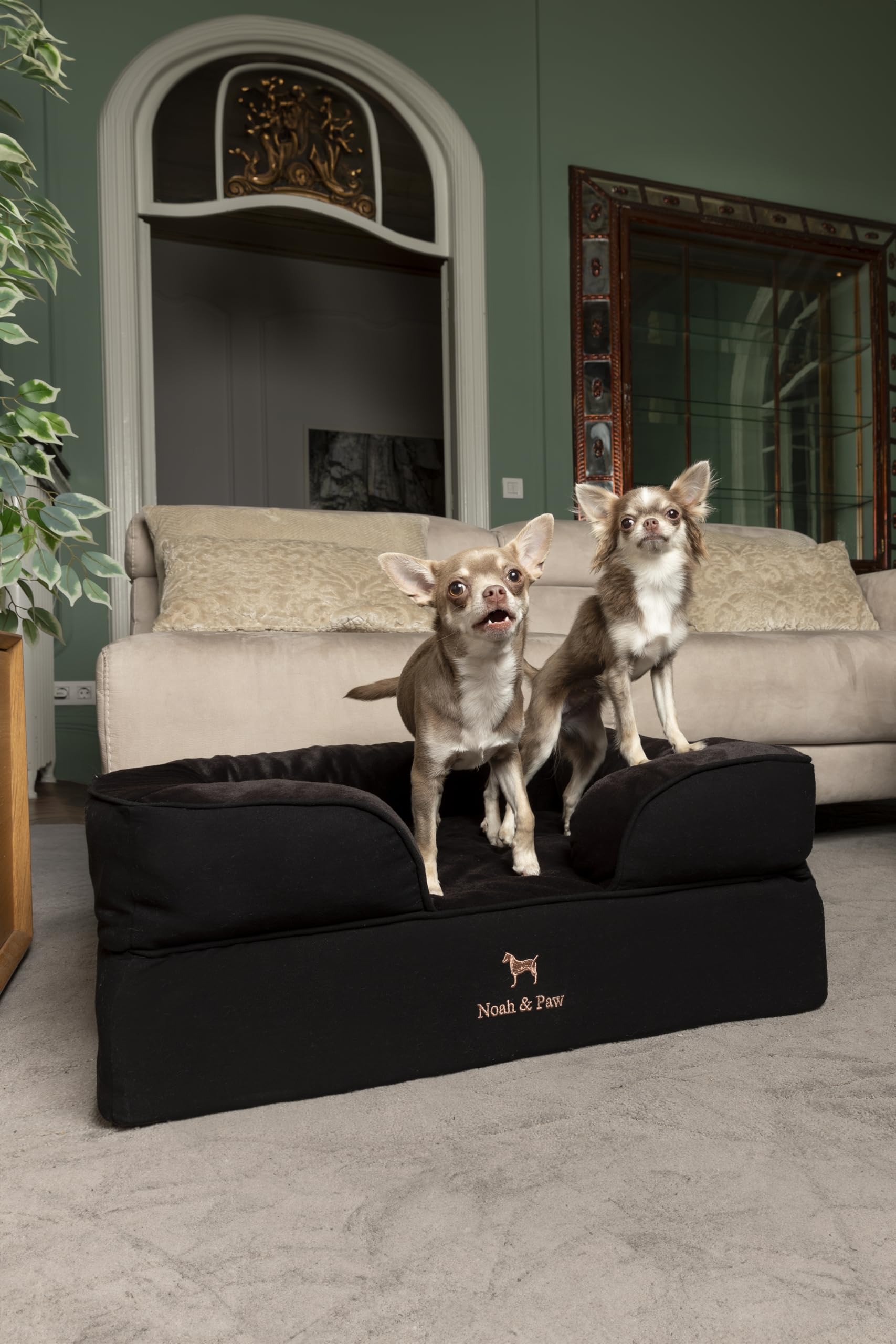 NOAH & PAW dog bed medium size use suitable for a range of breeds