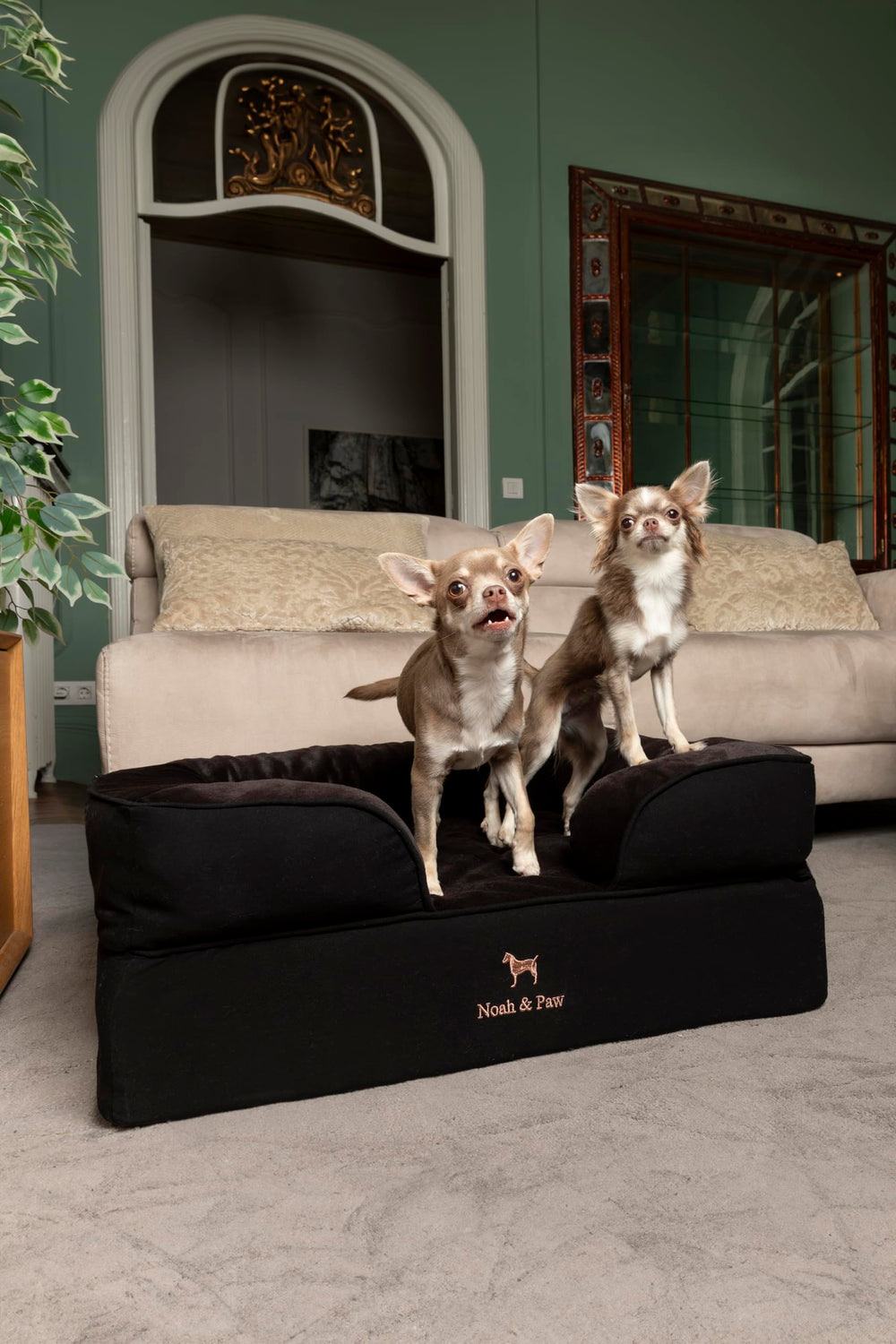 NOAH & PAW dog bed medium size use suitable for a range of breeds