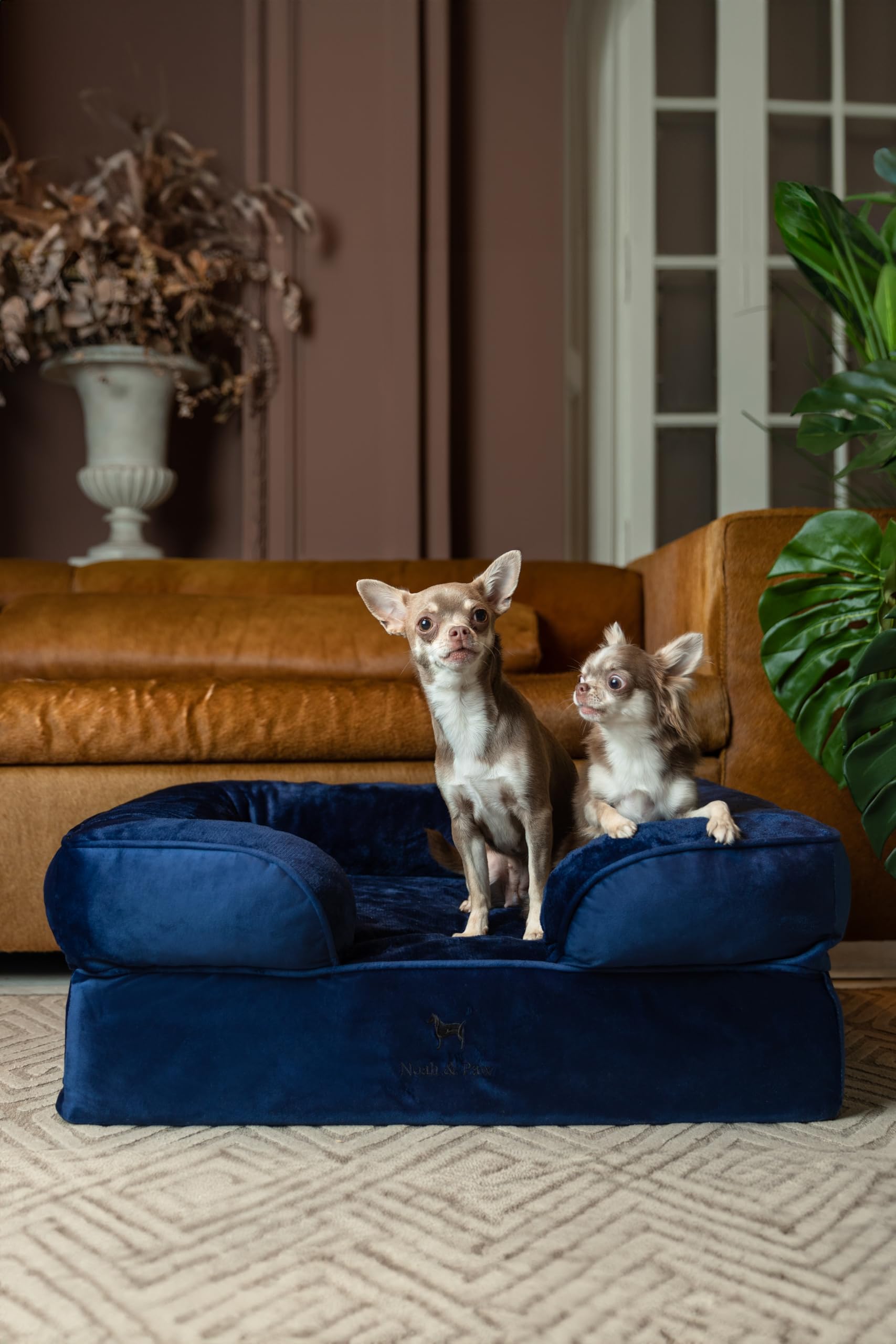 NOAH & PAW memory foam layer provides supportive comfort