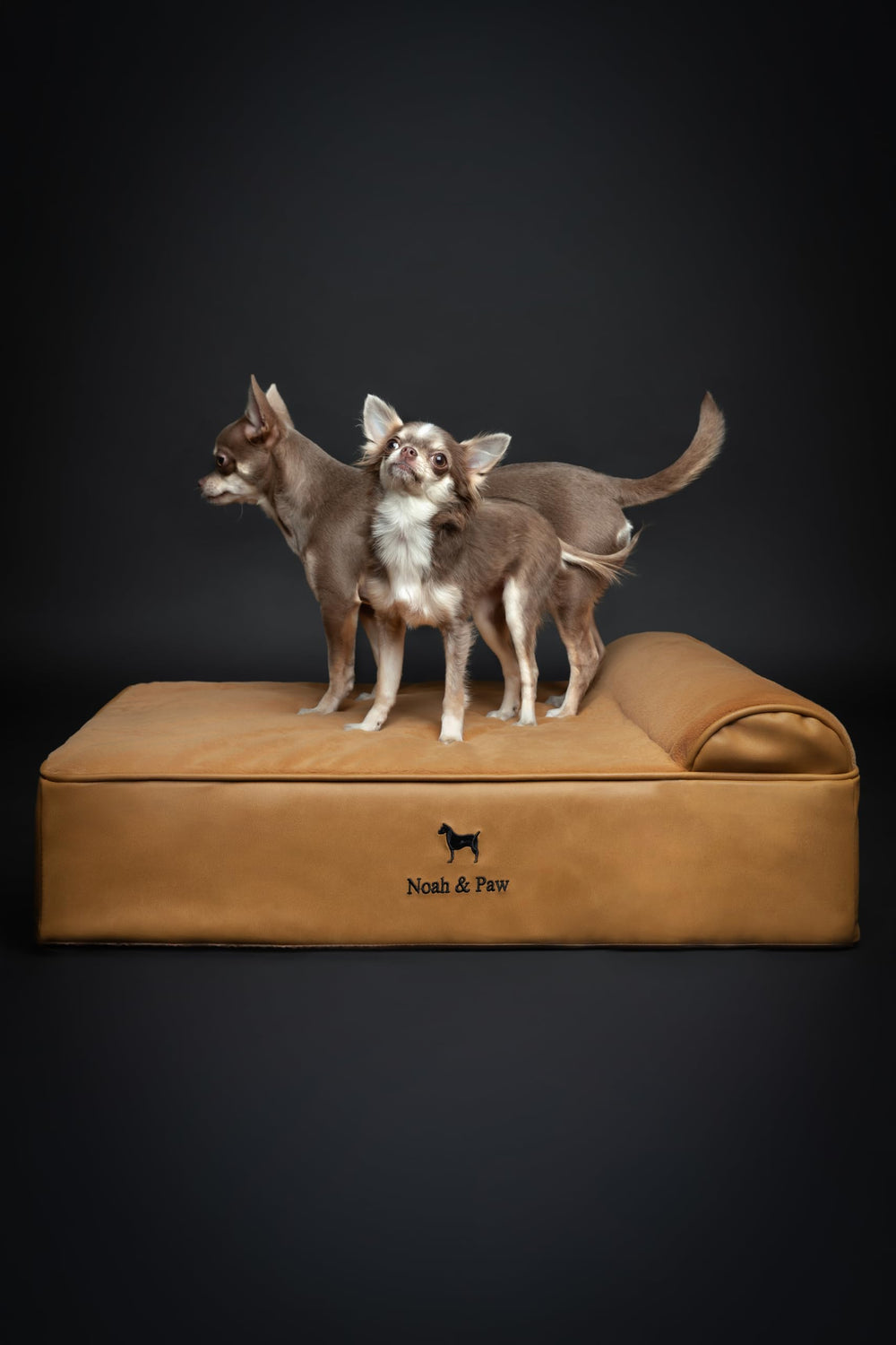 NOAH & PAW dog bed memory foam demonstrates contour comfort