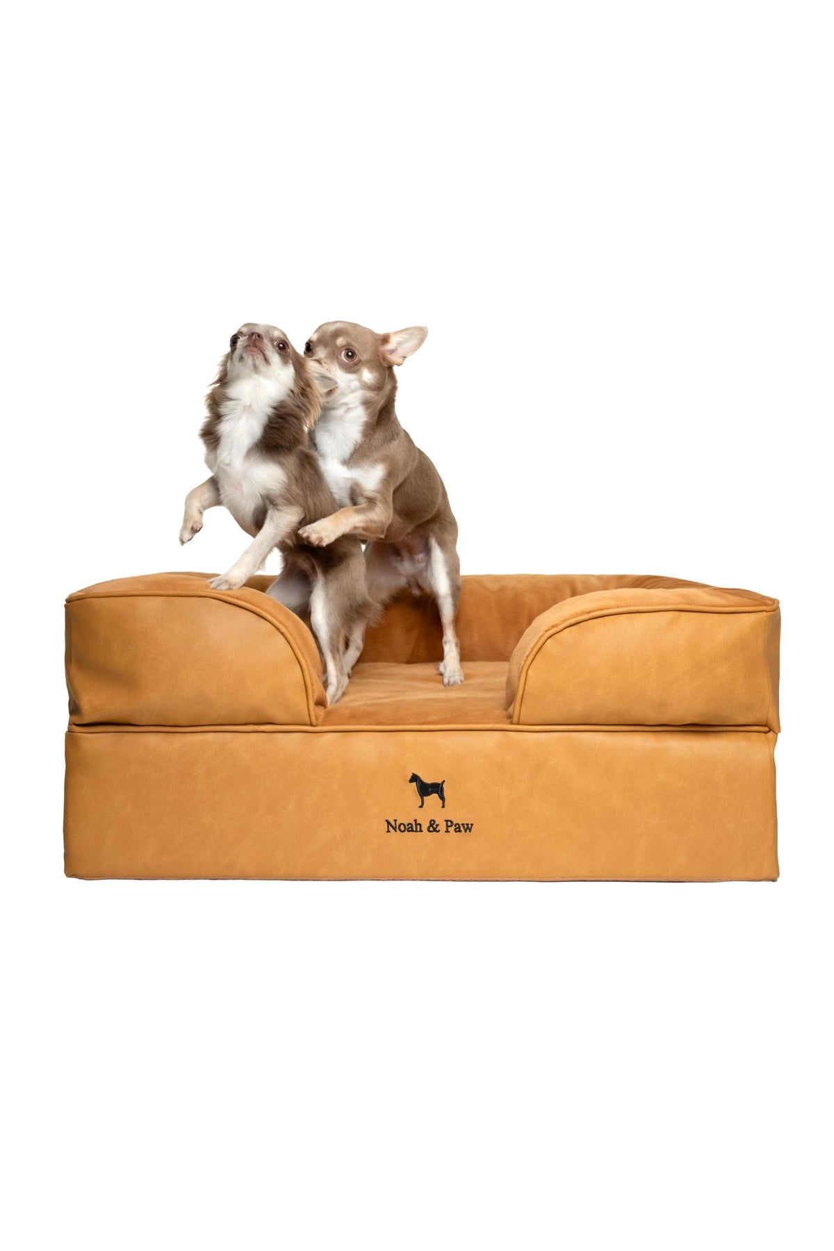NOAH & PAW dog bed base shows a 6-inch orthopedic core for supported comfort during lounging
