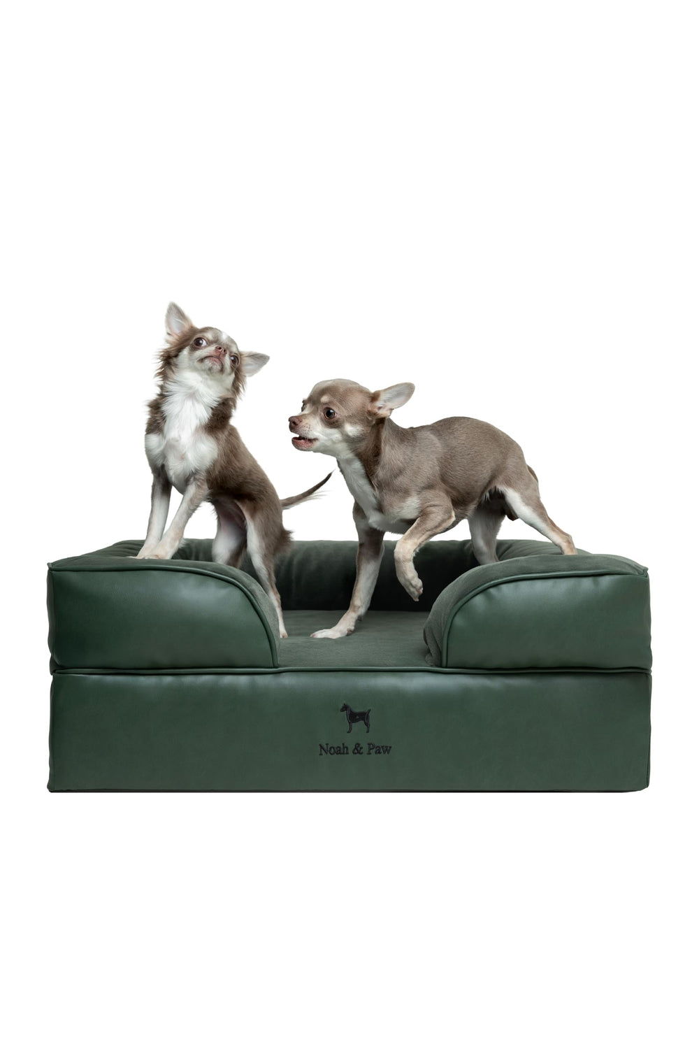 NOAH & PAW dog bed orthopedic-foam-core supports joints for medium pets.
