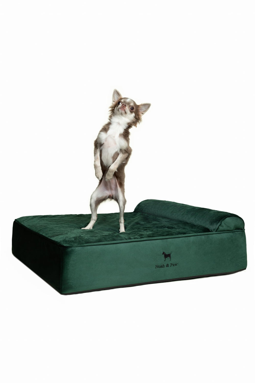 NOAH & PAW orthopedic foam-layer close-up for joint-supporting comfort