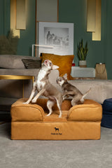 NOAH & PAW outer cover removed for easy washing and extended bed lifespan