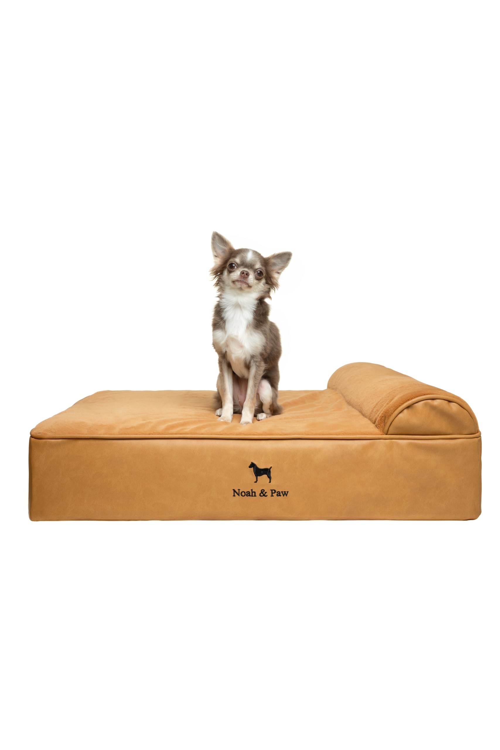 NOAH & PAW dog bed top view shows plush surface for cozy rest
