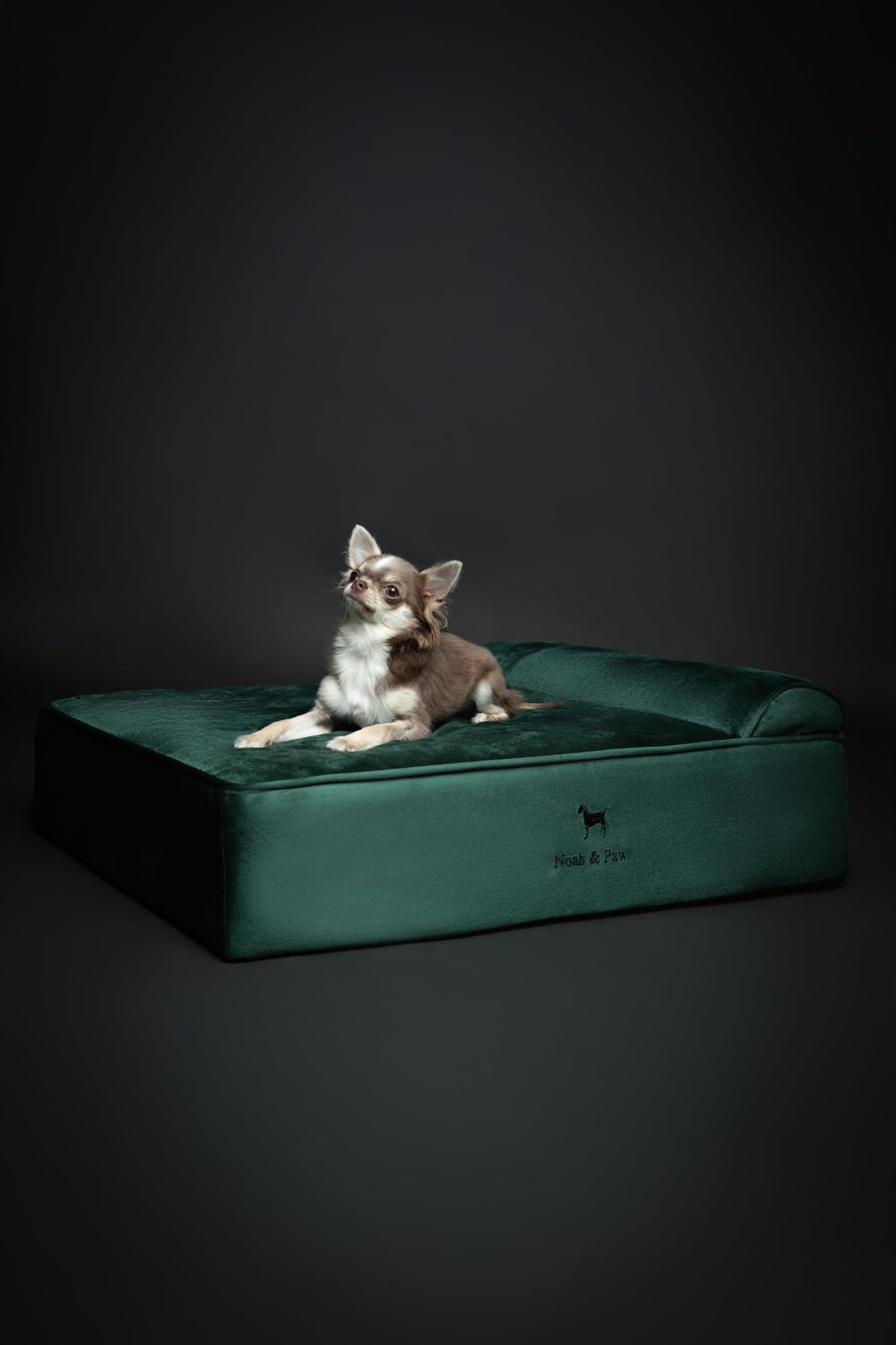 NOAH & PAW velvet-cover close-up highlights soft, durable fabric