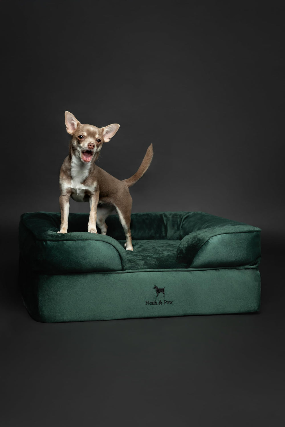 NOAH & PAW velvet fabric close-up for luxurious feel