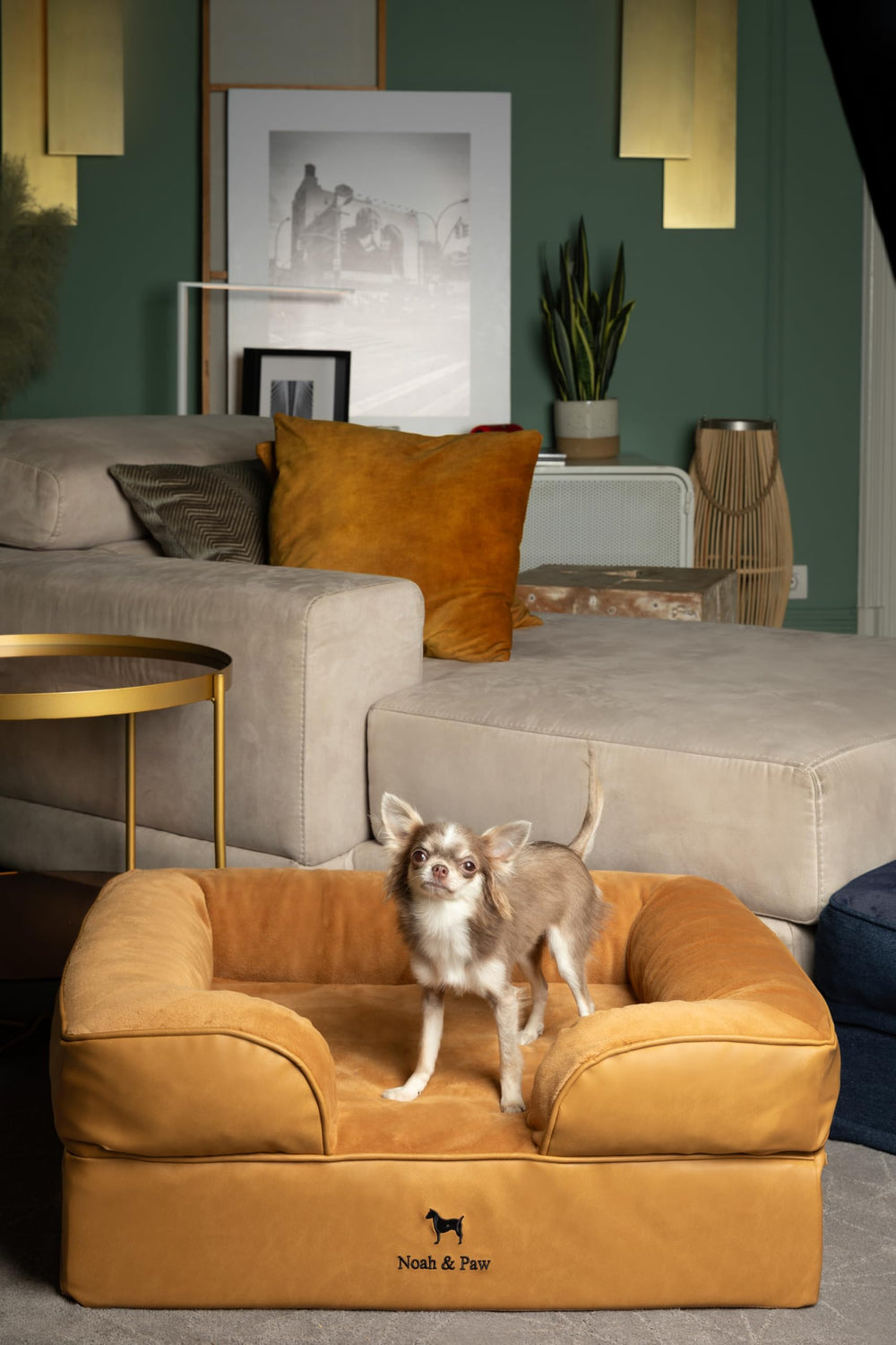 NOAH & PAW two washable covers enable quick refreshes between uses