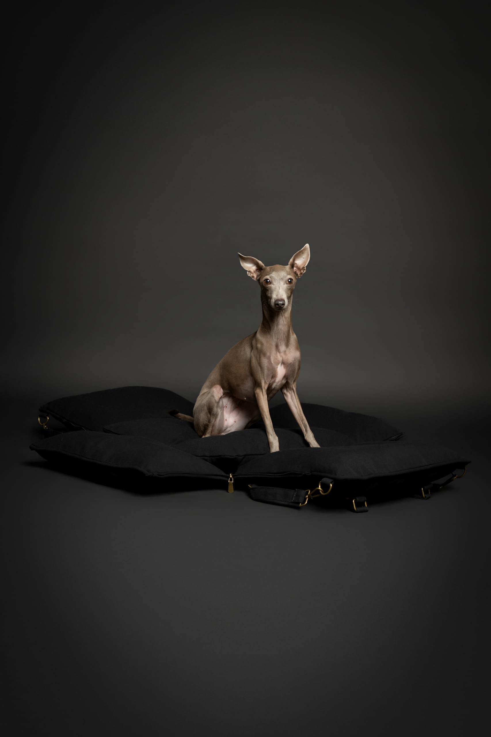 NOAH & PAW dog car seat carrier bottom zippers enable easy cushion removal and wash.