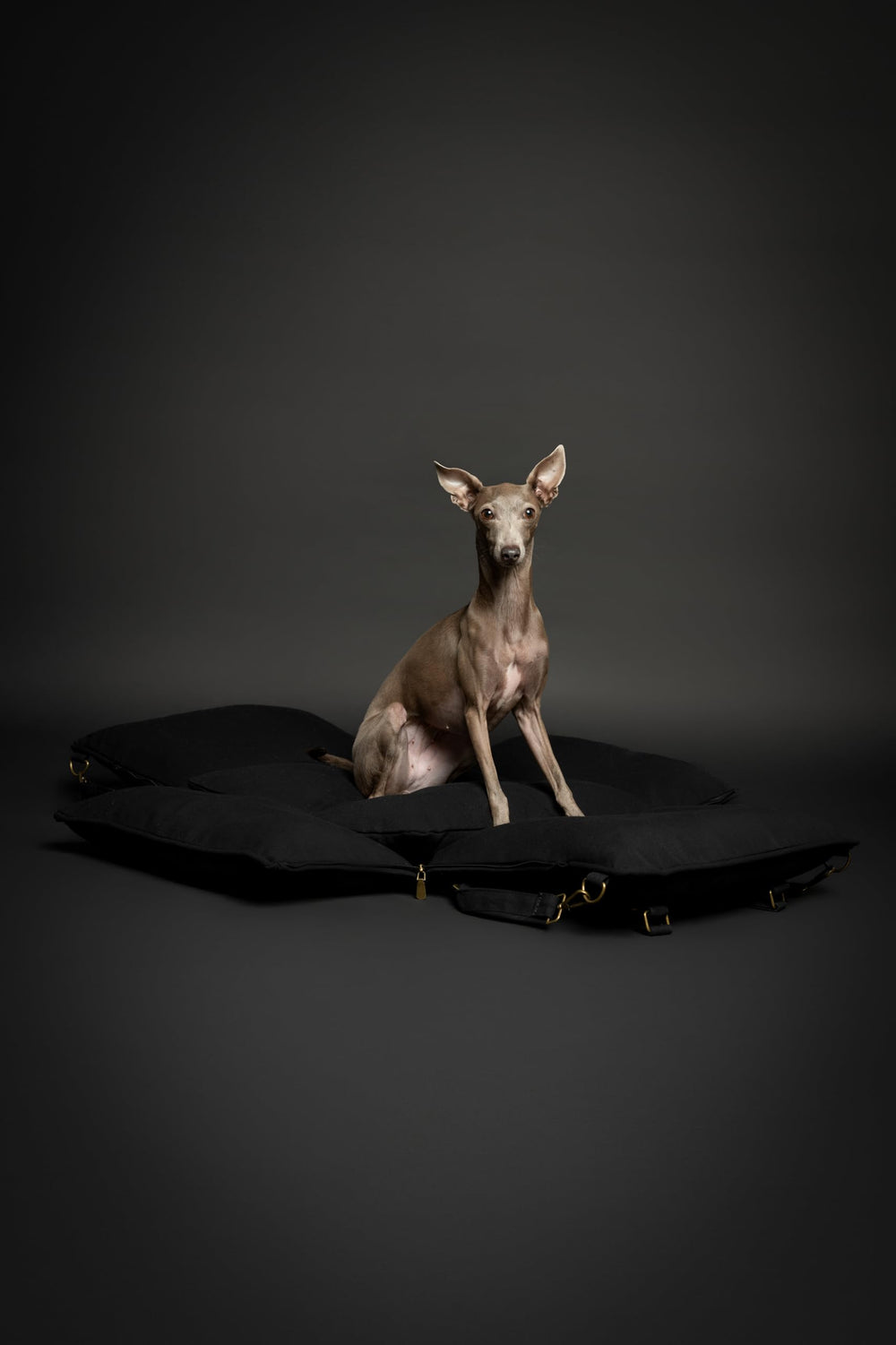 NOAH & PAW dog car seat carrier bottom zippers enable easy cushion removal and wash.