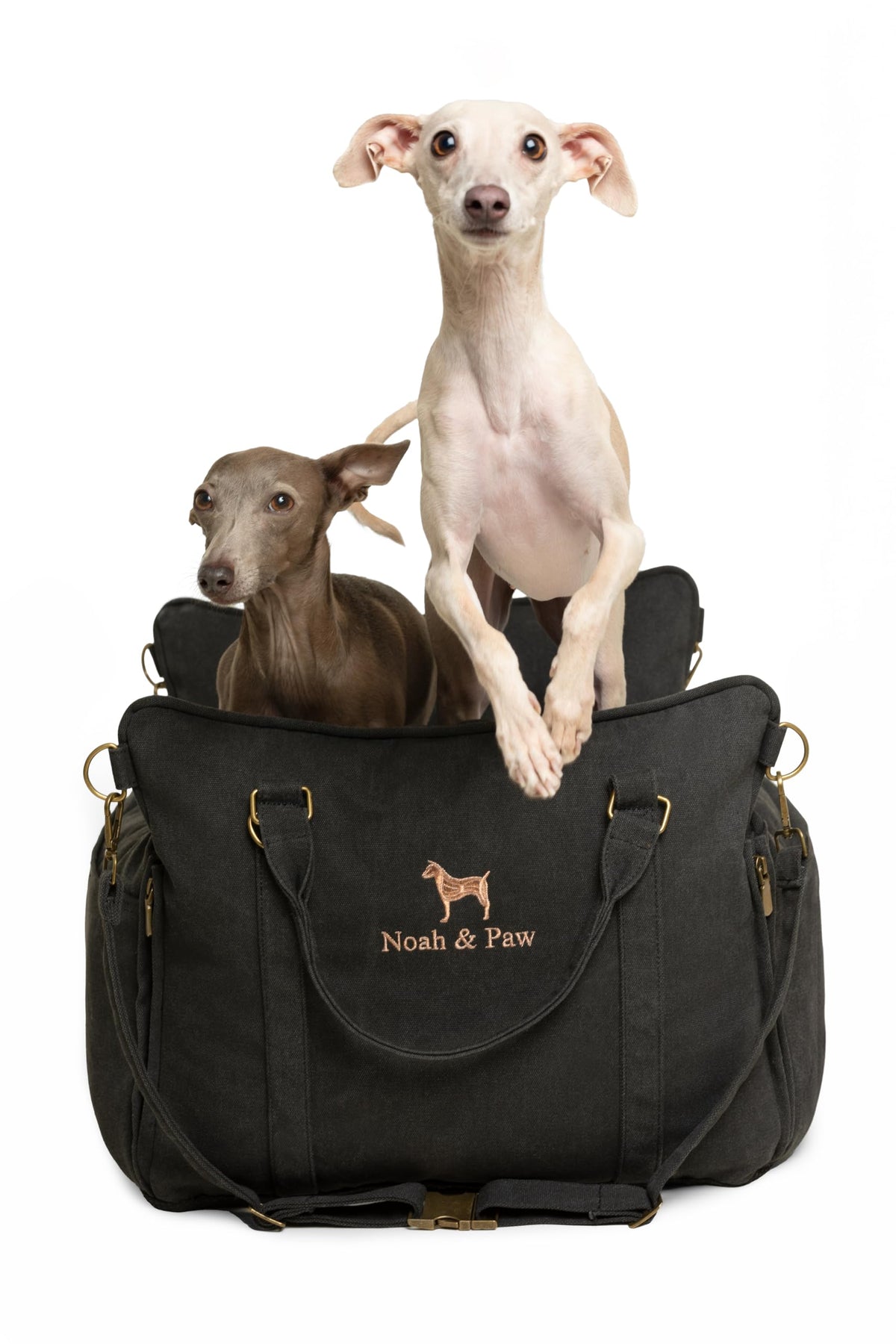 NOAH & PAW dog car seat carrier car setup demonstrates secure installation for small dogs.