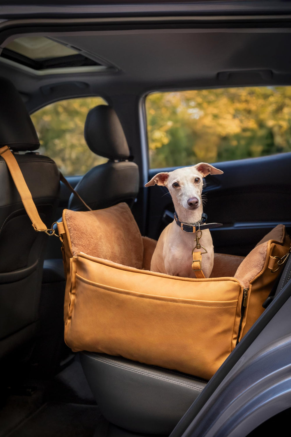 NOAH & PAW 4x safety system illustrated with straps and anti-skid base.