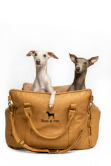 NOAH & PAW dog car seat carrier front view highlighting compact, travel-ready design for small dogs.