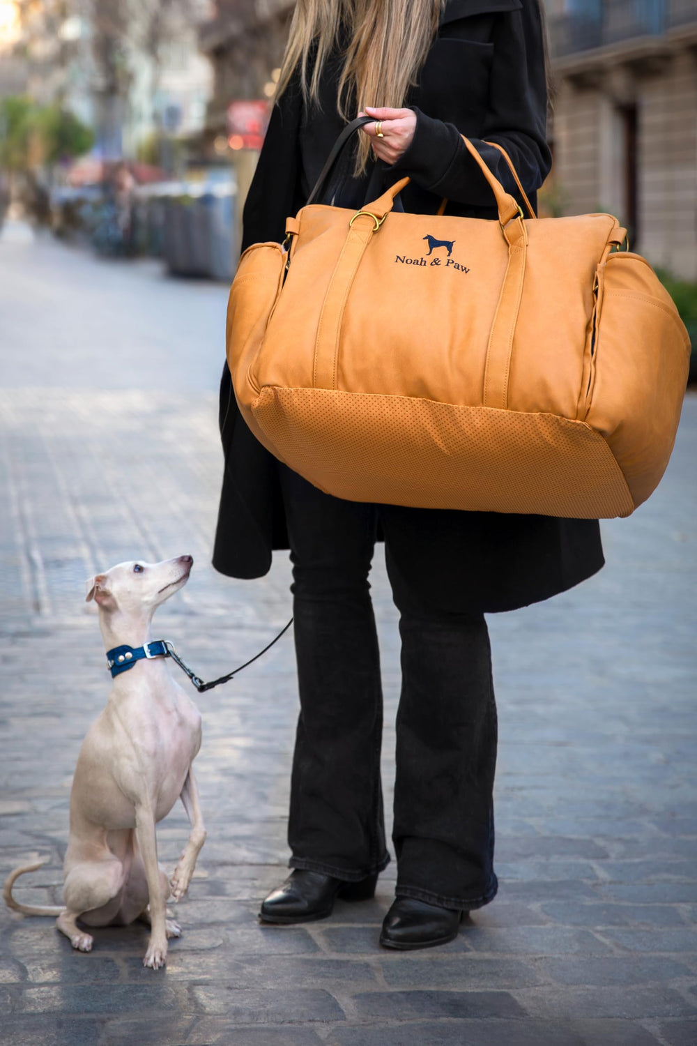 NOAH & PAW harness clip detail promotes safe restraint during rides.