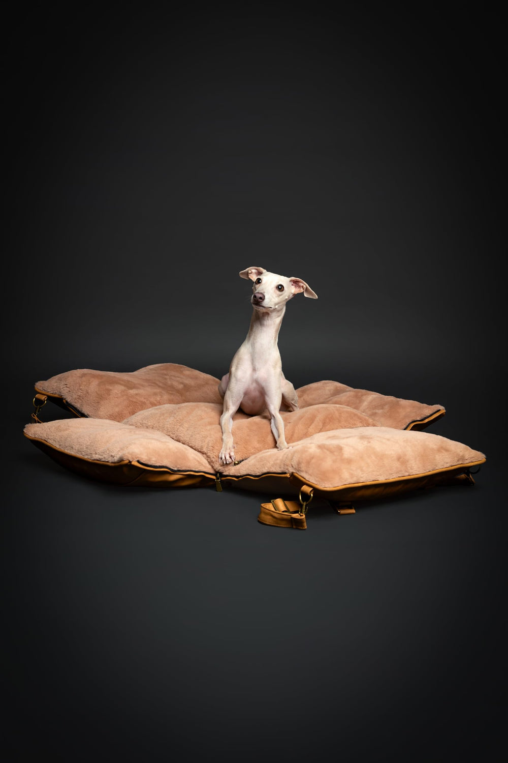 NOAH & PAW orthopedic memory foam cushions support smooth rides.