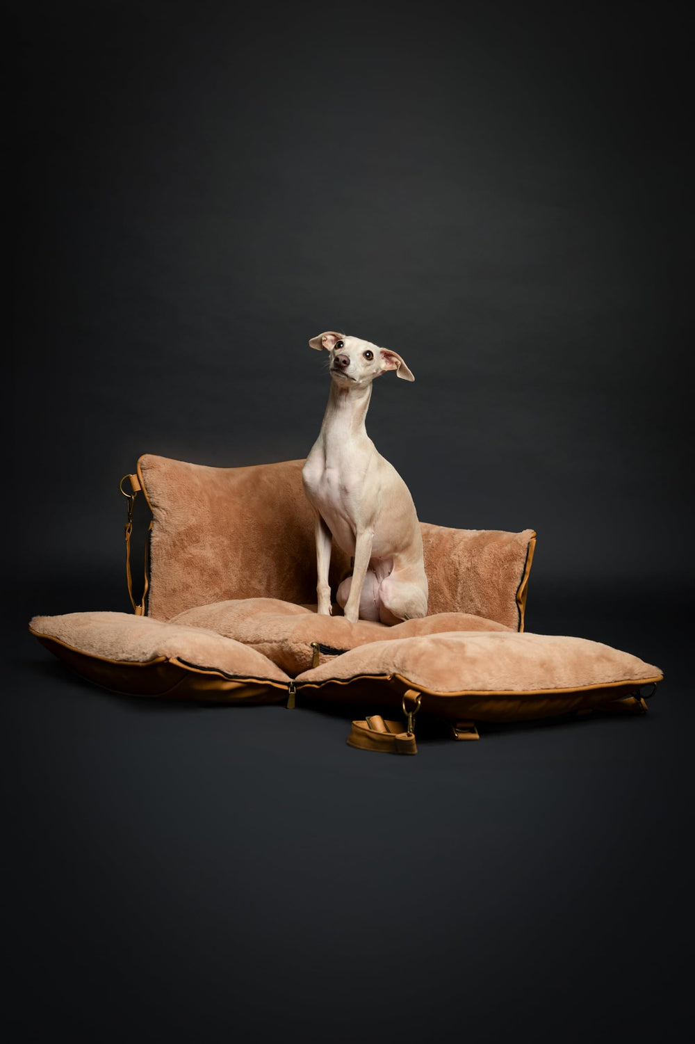 NOAH & PAW vegan leather exterior with plush interior for refined aesthetics.