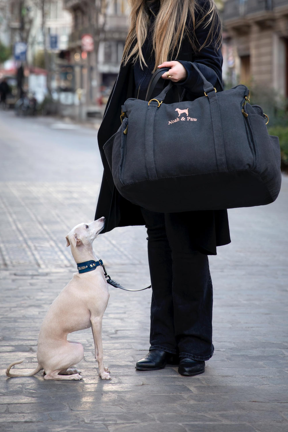 NOAH & PAW dog car seat carrier converts to bed mode for cozy rest on the go.