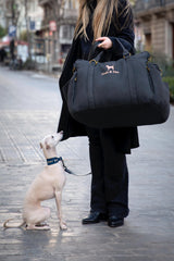 NOAH & PAW dog car seat carrier converts to bed mode for cozy rest on the go.