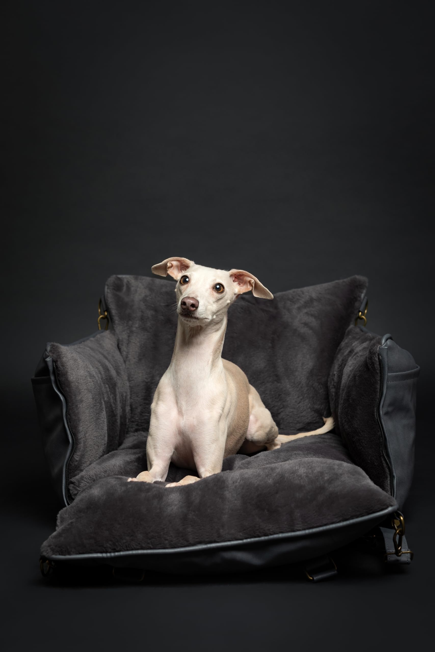 Noah & Paw memory foam interior offers cushioned support on bumpy rides.