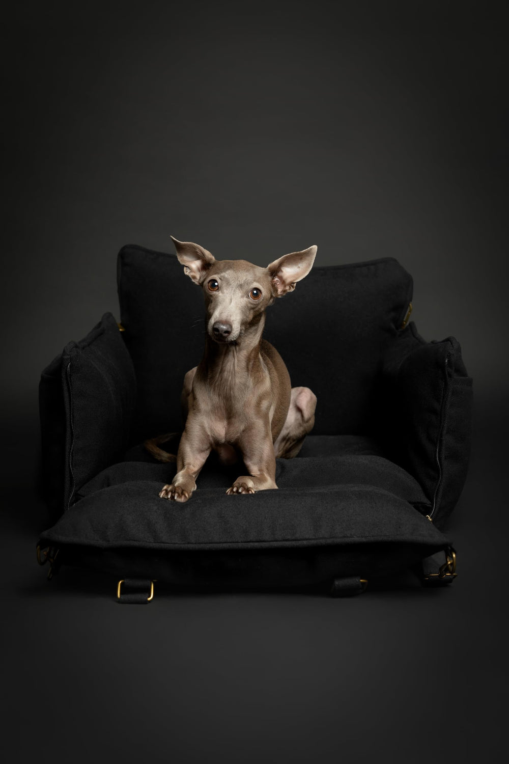 NOAH & PAW dog car seat carrier orthopedic foam provides supportive comfort during travel.