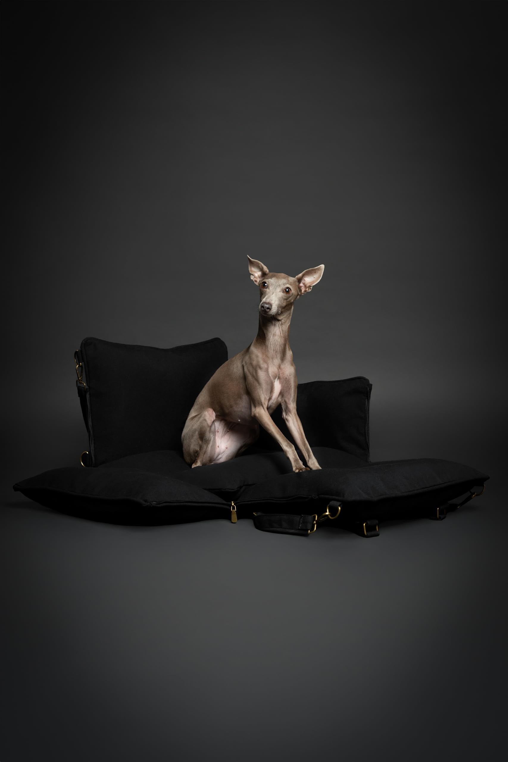 NOAH & PAW dog car seat carrier removable cover simplifies cleaning after trips.