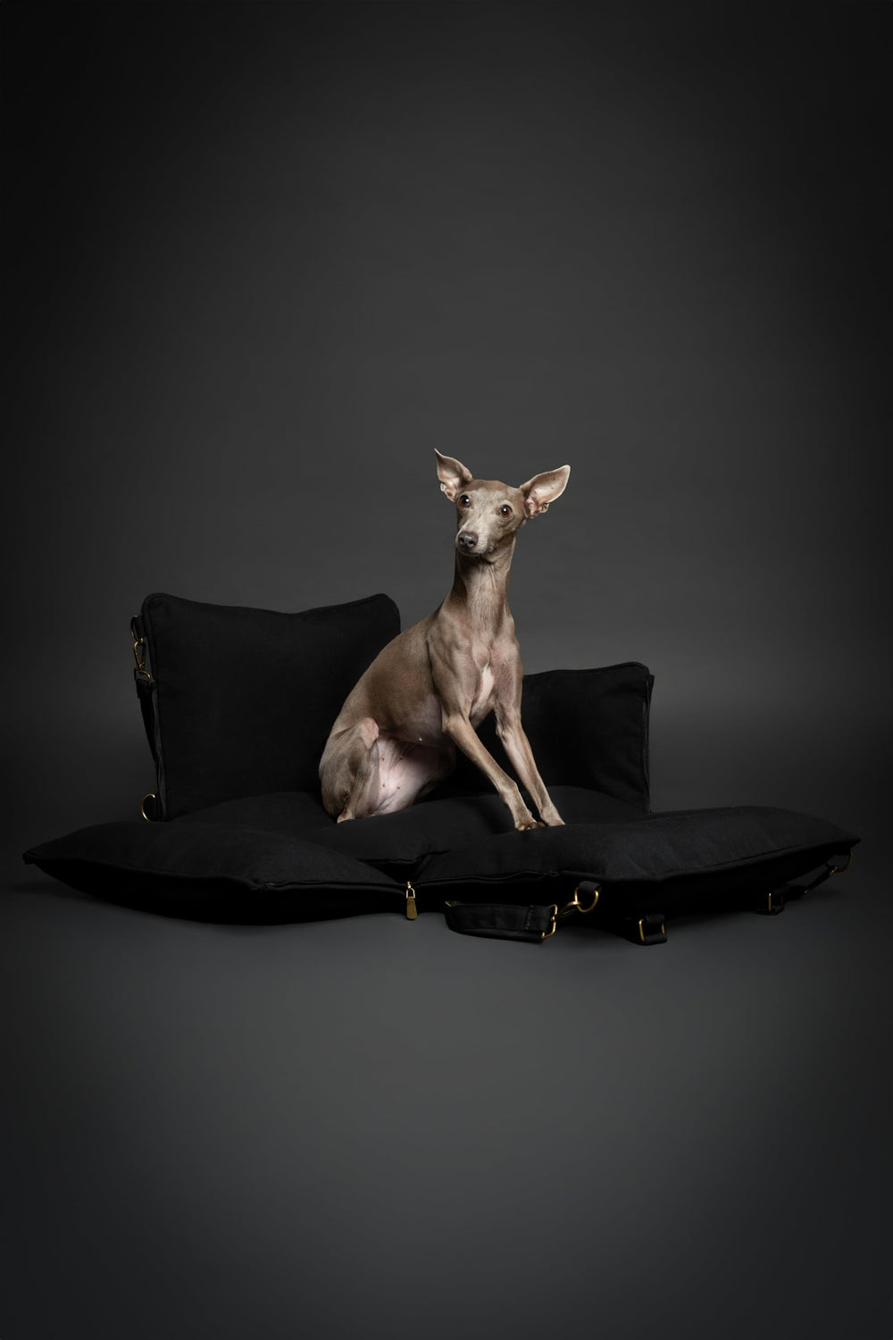 NOAH & PAW dog car seat carrier removable cover simplifies cleaning after trips.