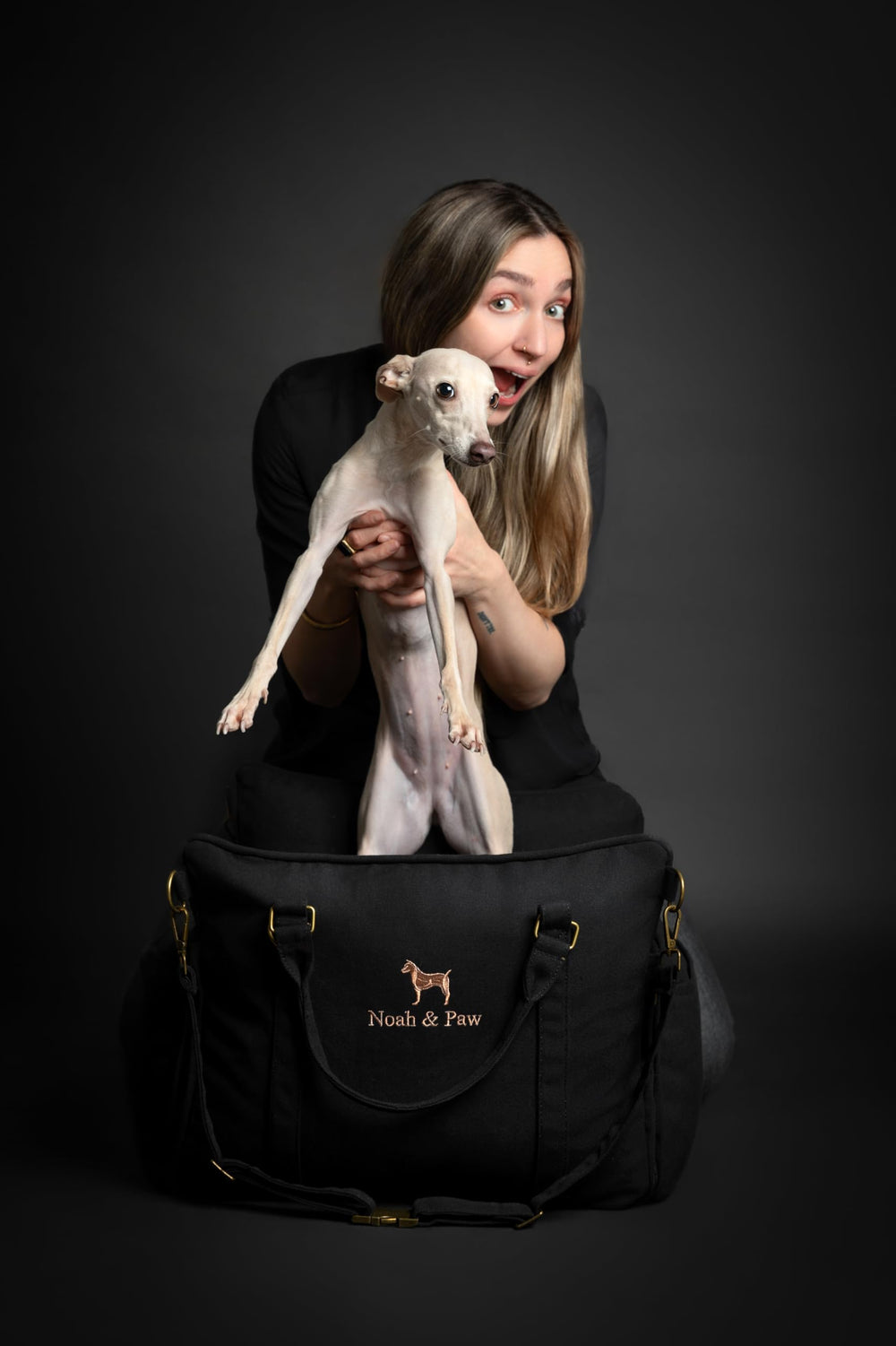 NOAH & PAW dog car seat carrier sturdy handles aid effortless transport.