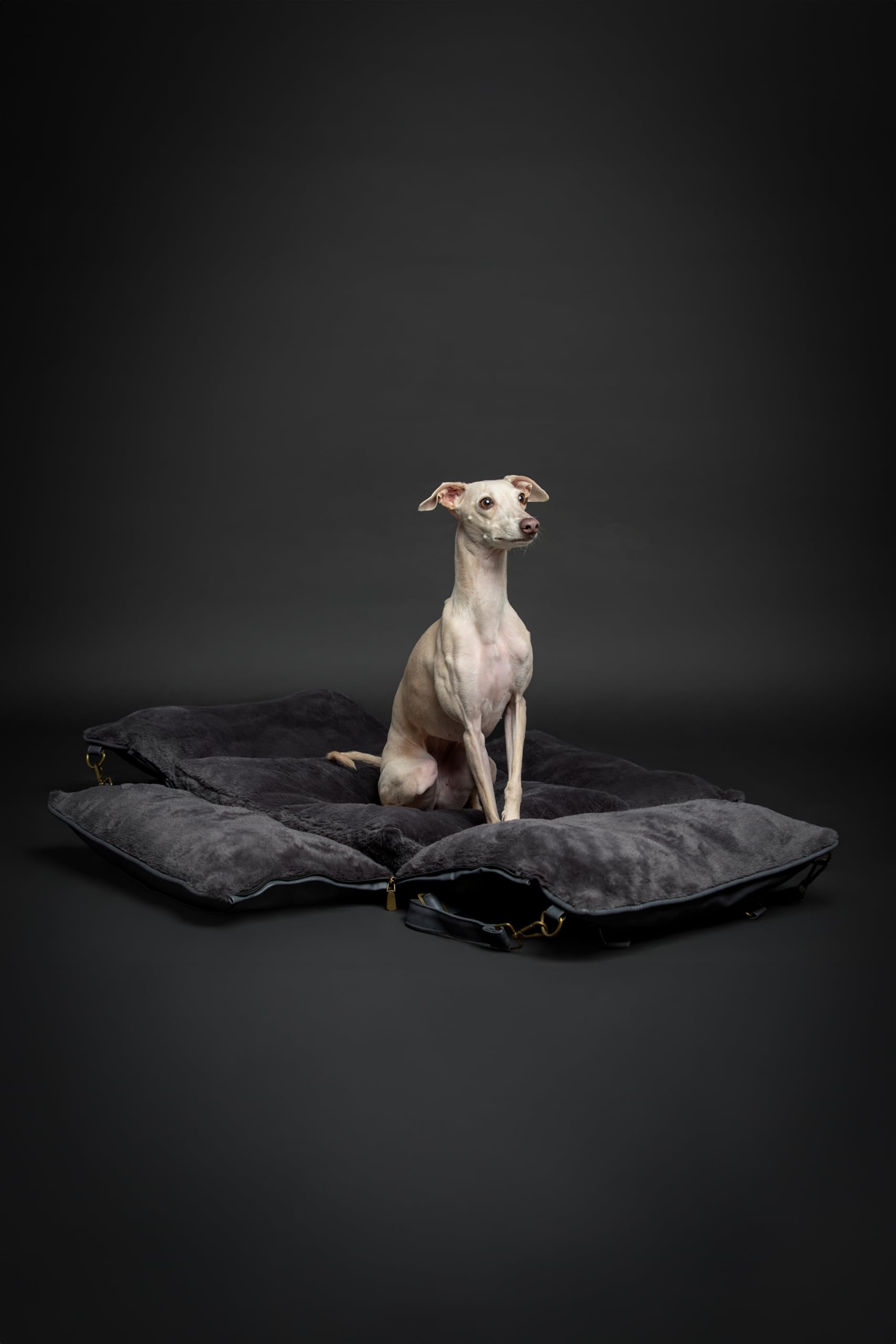 Noah & Paw washable cover makes post-trip cleaning quick and easy.