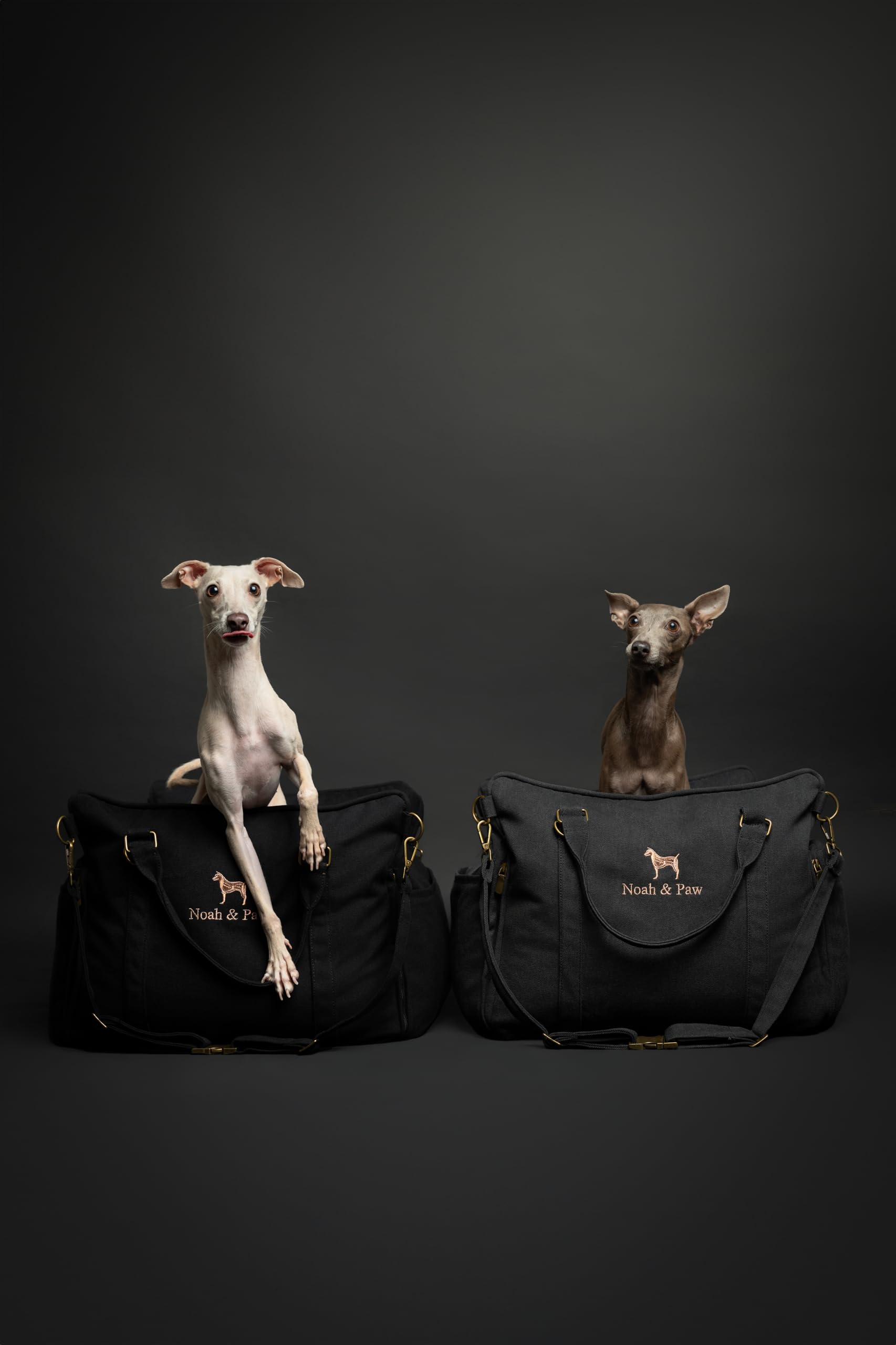 NOAH & PAW dog car seat carrier cushions are machine washable for quick refresh.