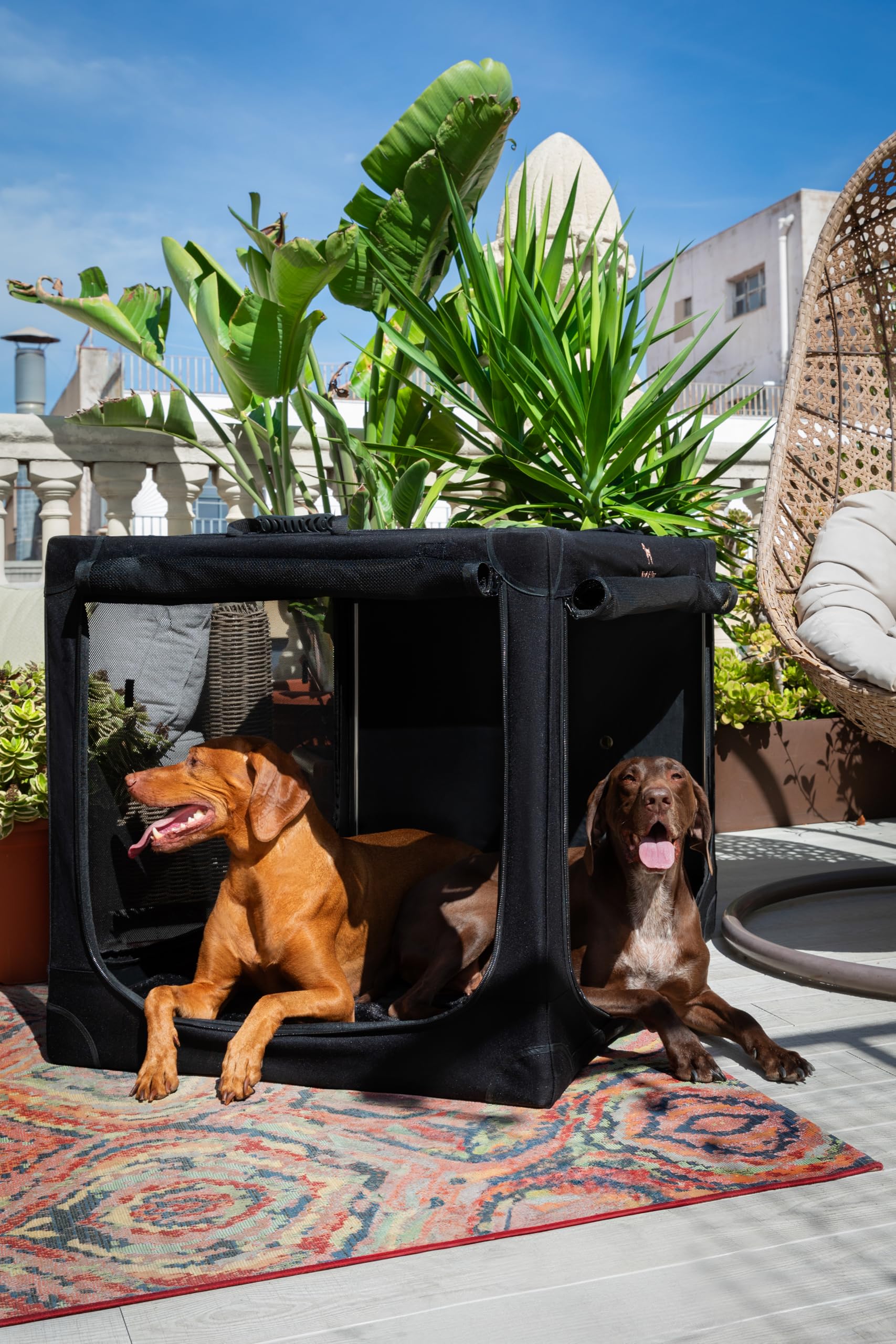 NOAH & PAW stainless-steel frame emphasizes kennel durability