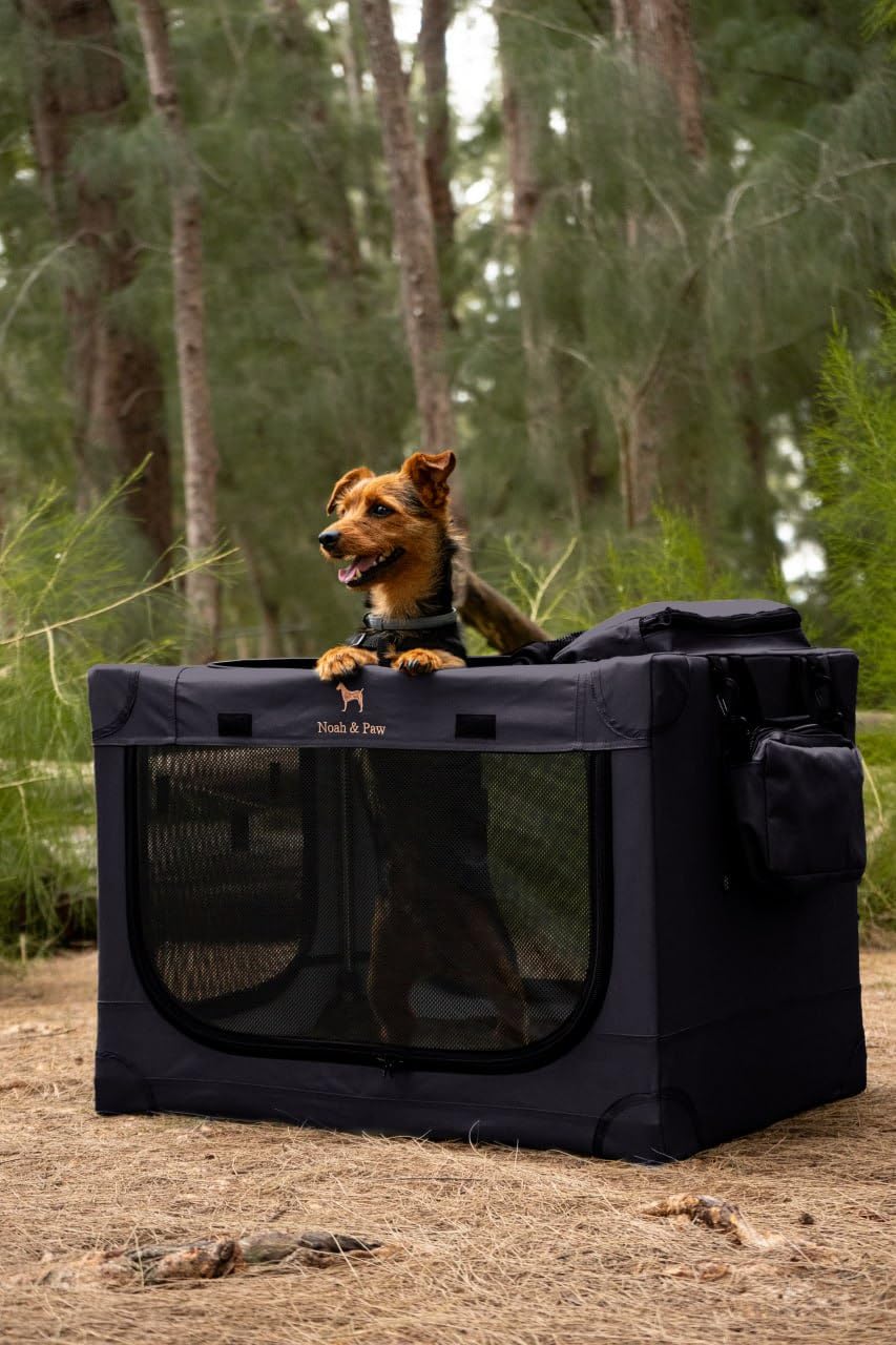NOAH & PAW travel pockets provide on-the-go storage