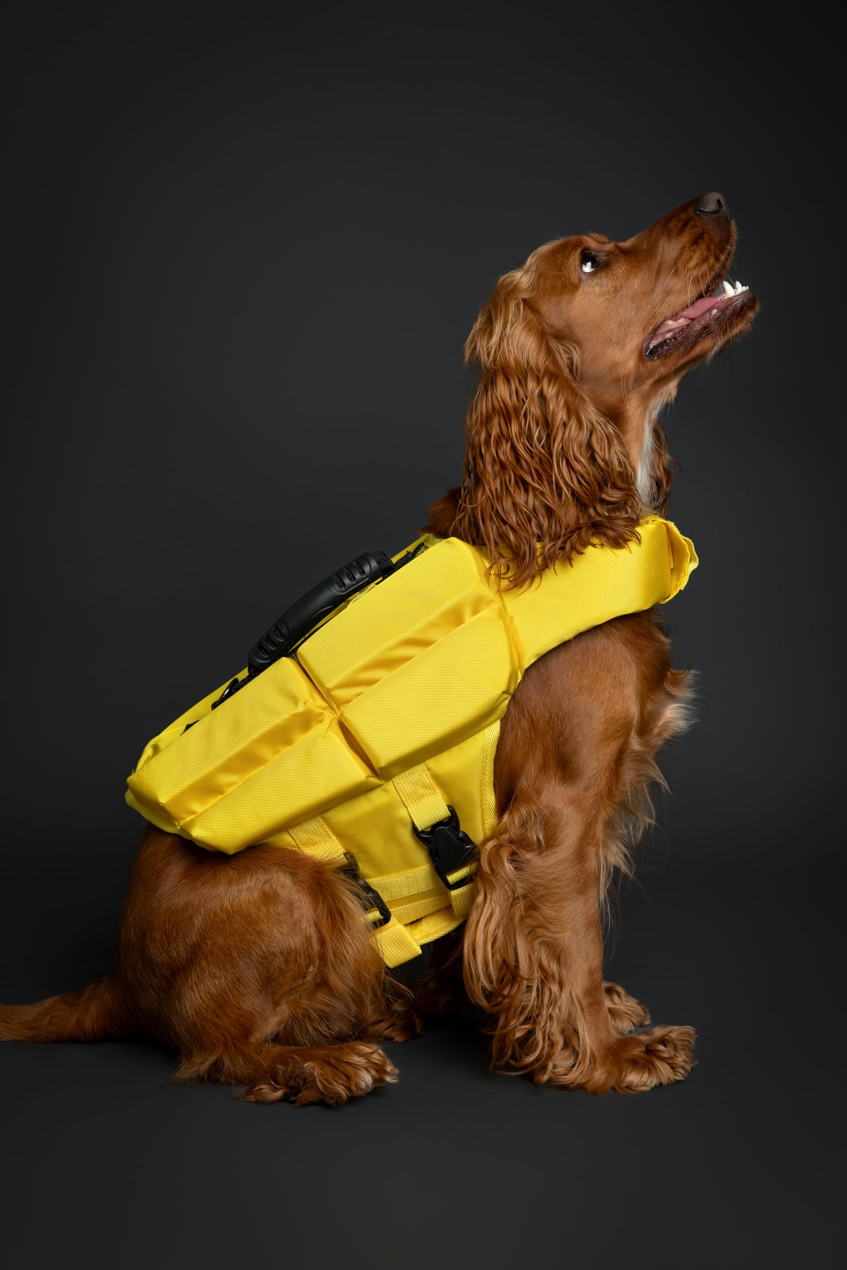NOAH & PAW dog life jacket back strap for secure handling