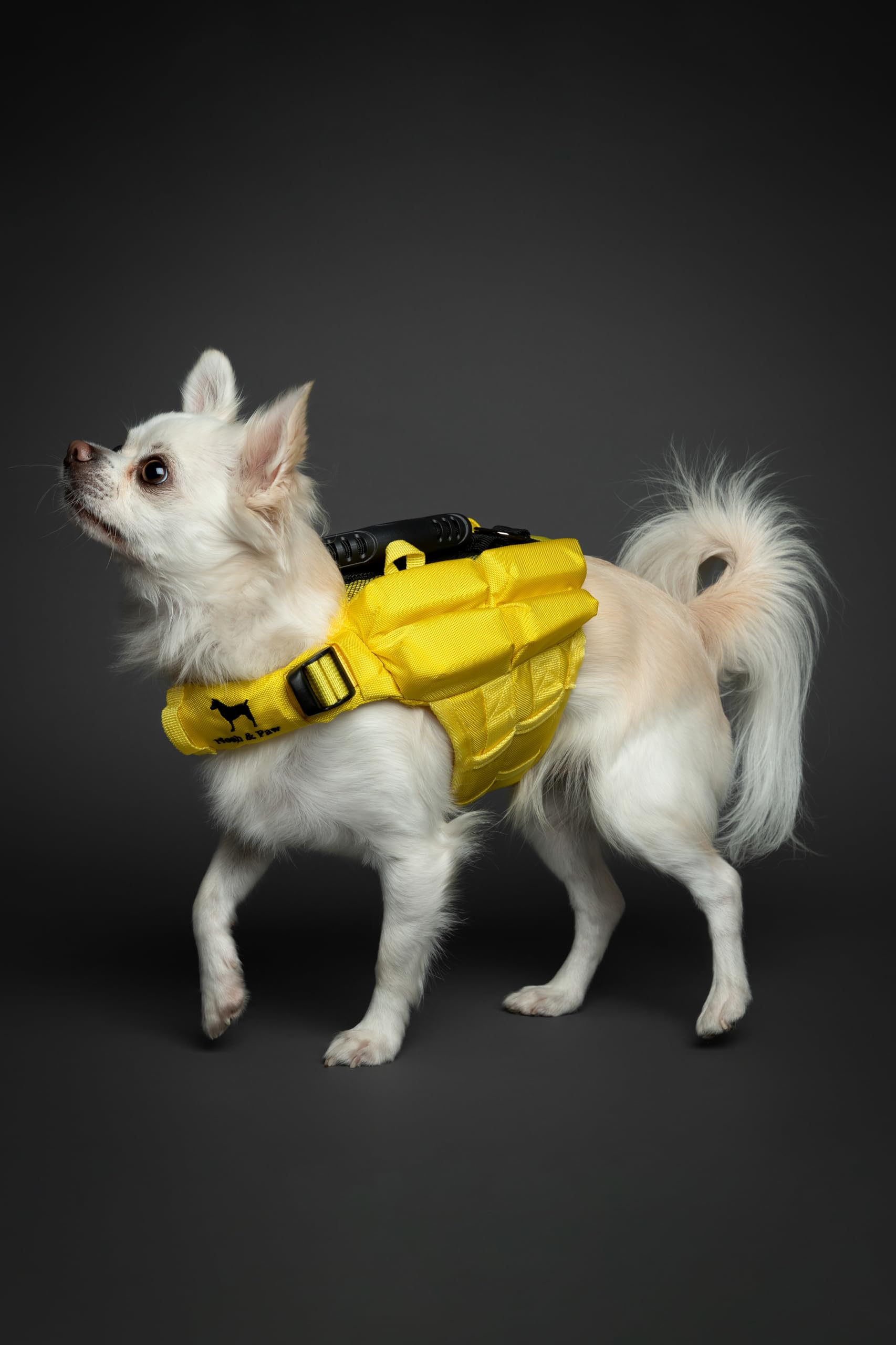 NOAH & PAW dog life jacket breathable mesh promotes comfort and airflow