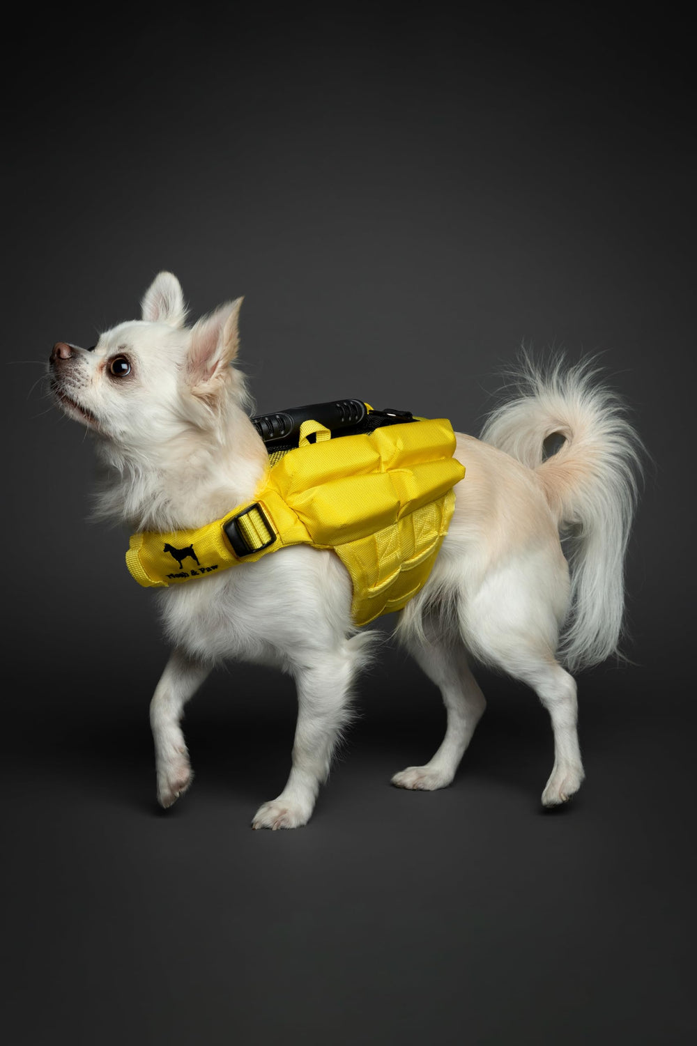 NOAH & PAW dog life jacket breathable mesh promotes comfort and airflow