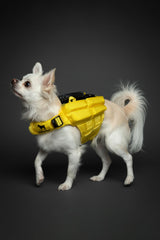 NOAH & PAW dog life jacket breathable mesh promotes comfort and airflow