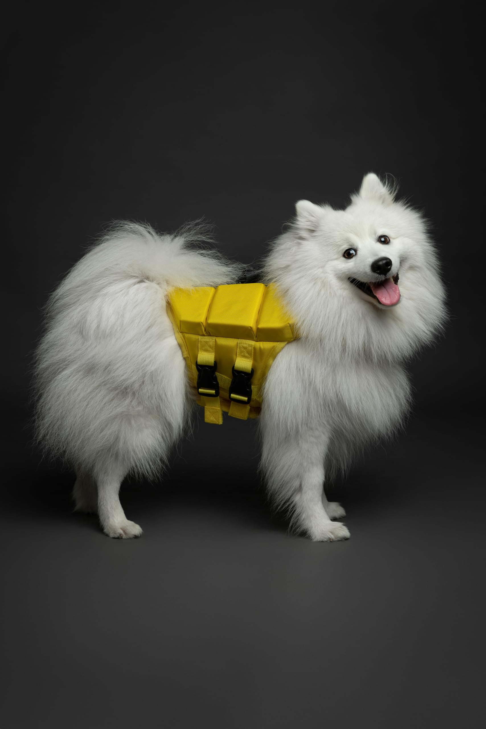 NOAH & PAW dog life jacket breathable mesh for cooling comfort.